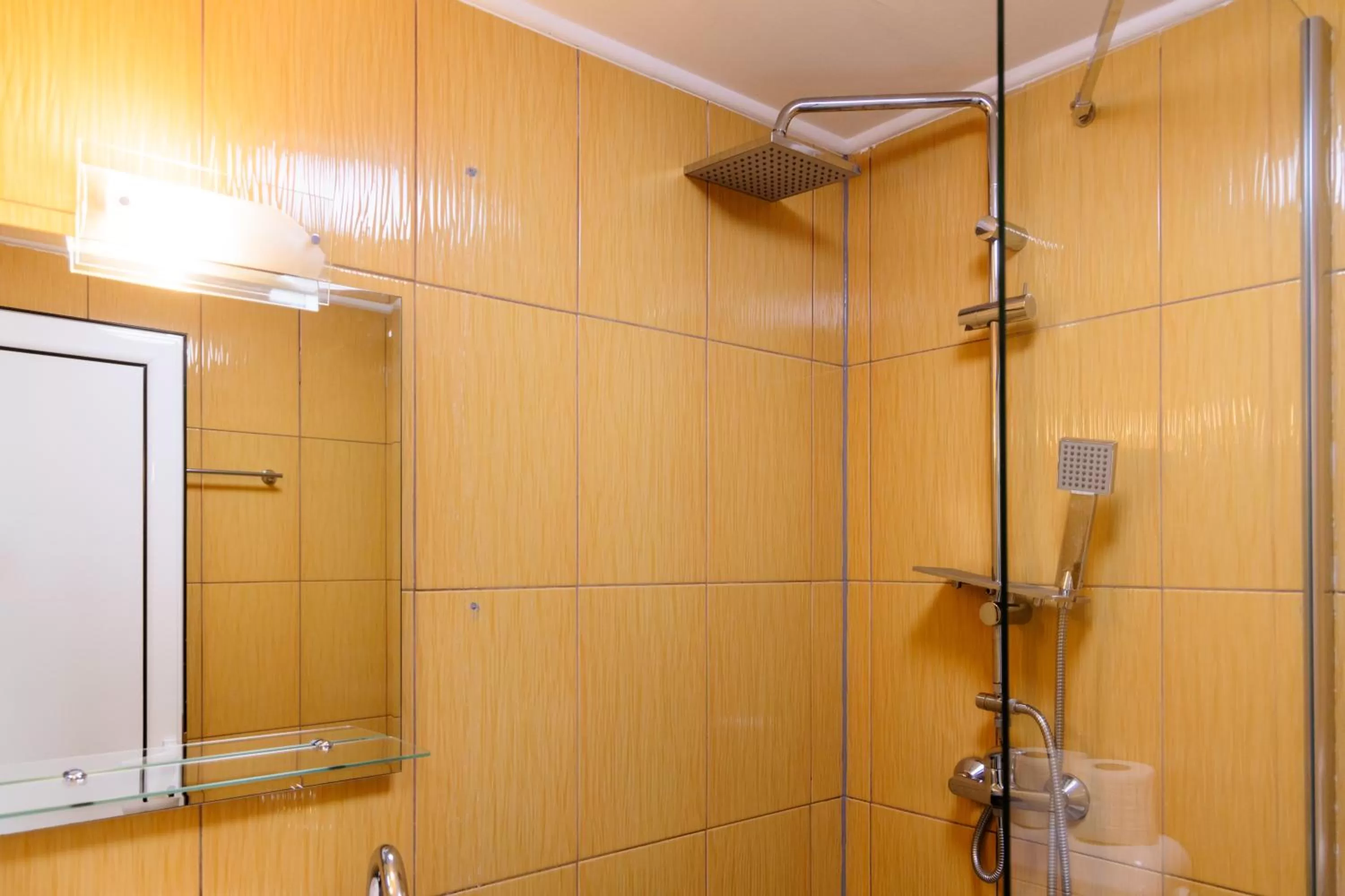 Bathroom in Pensiunea Pictorilor