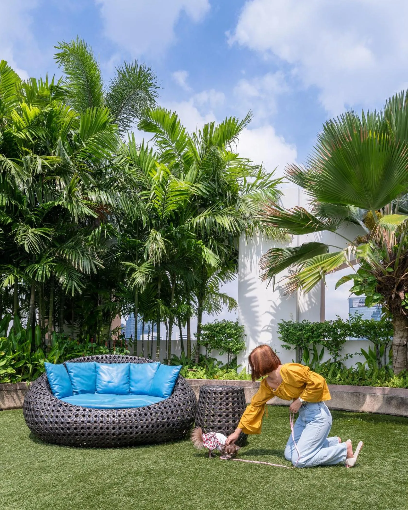 Pets in Grand Mercure Bangkok Asoke Residence