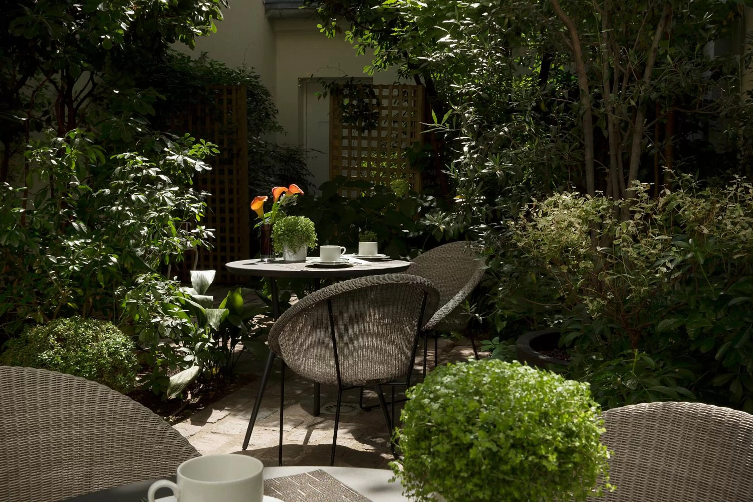Garden in Hôtel A La Villa des Artistes