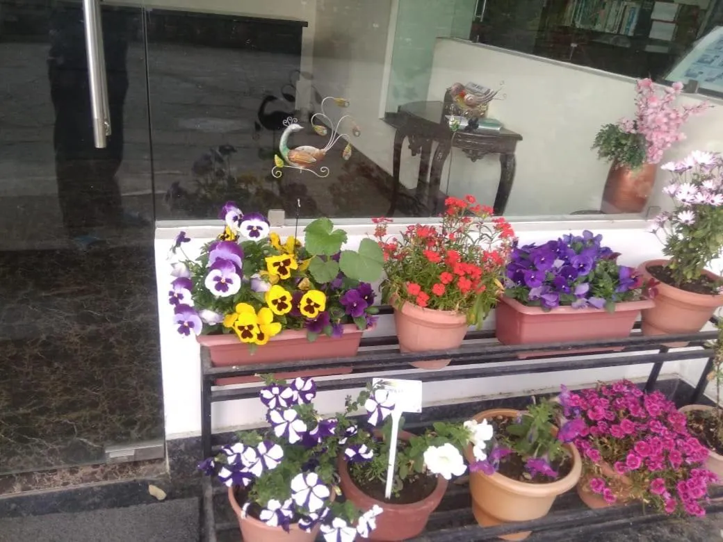 Property building in Hotel SunGrace