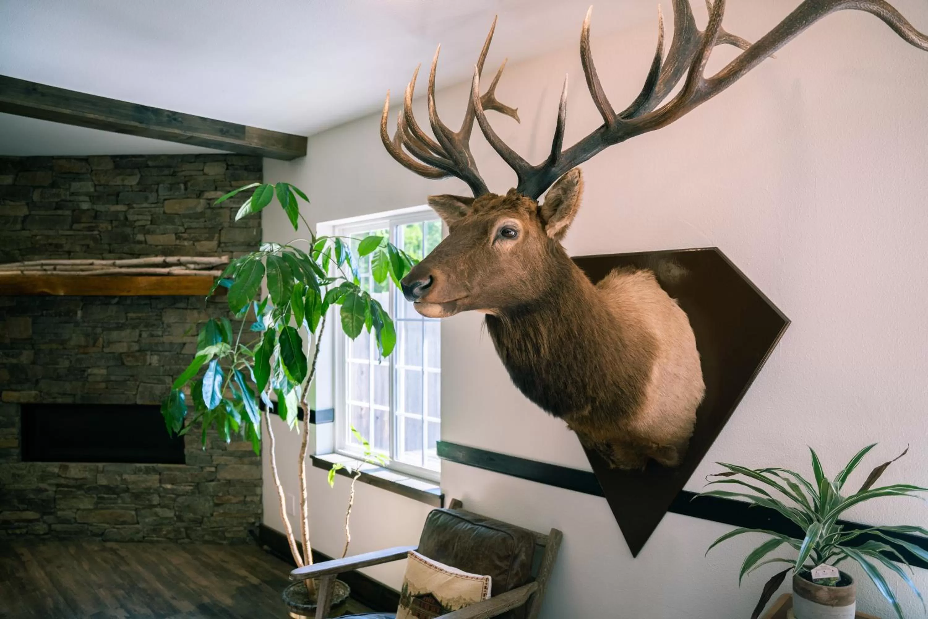 Property logo or sign in Blue Elk Inn