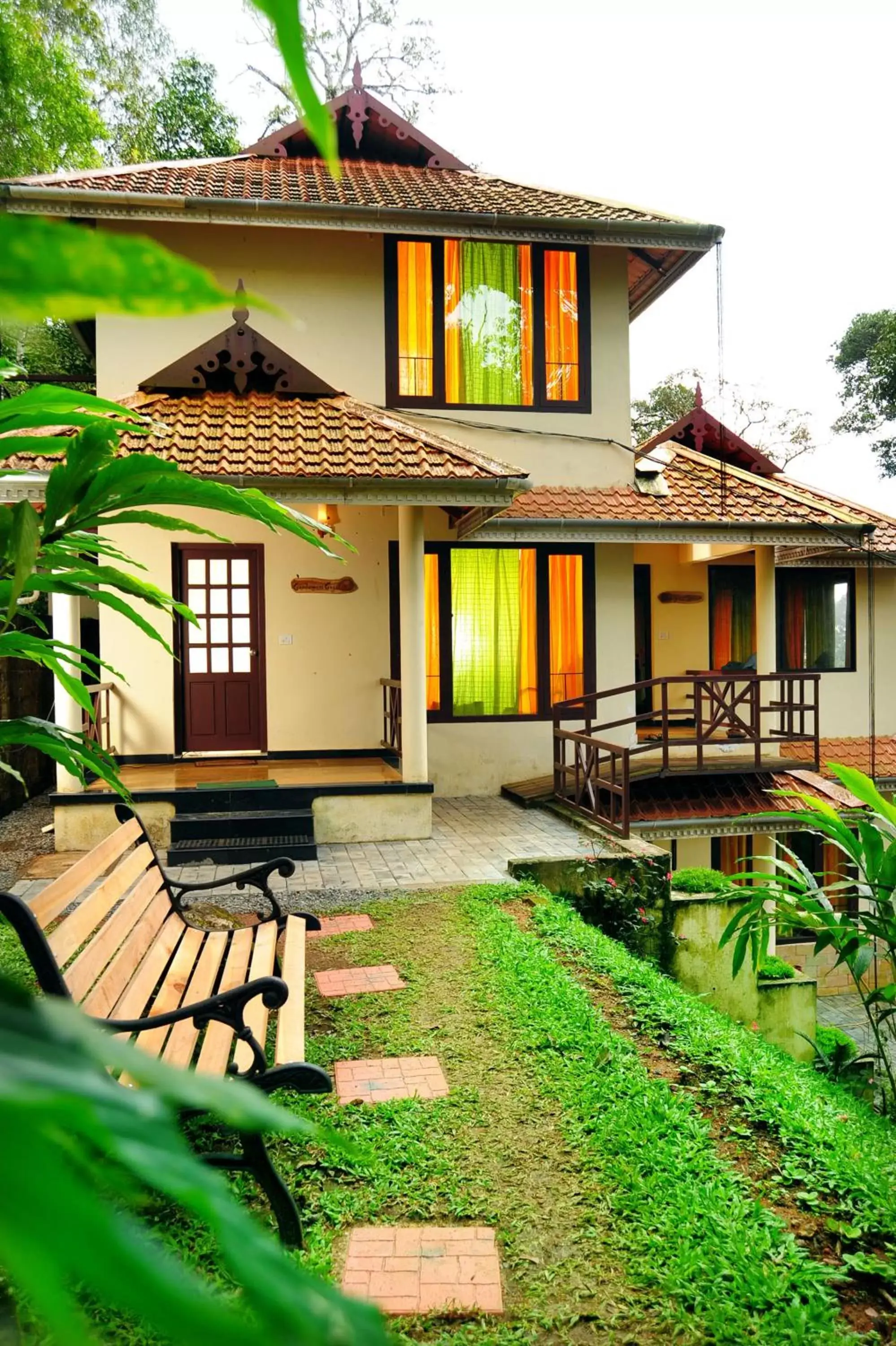 Violet Woods Violet Woods