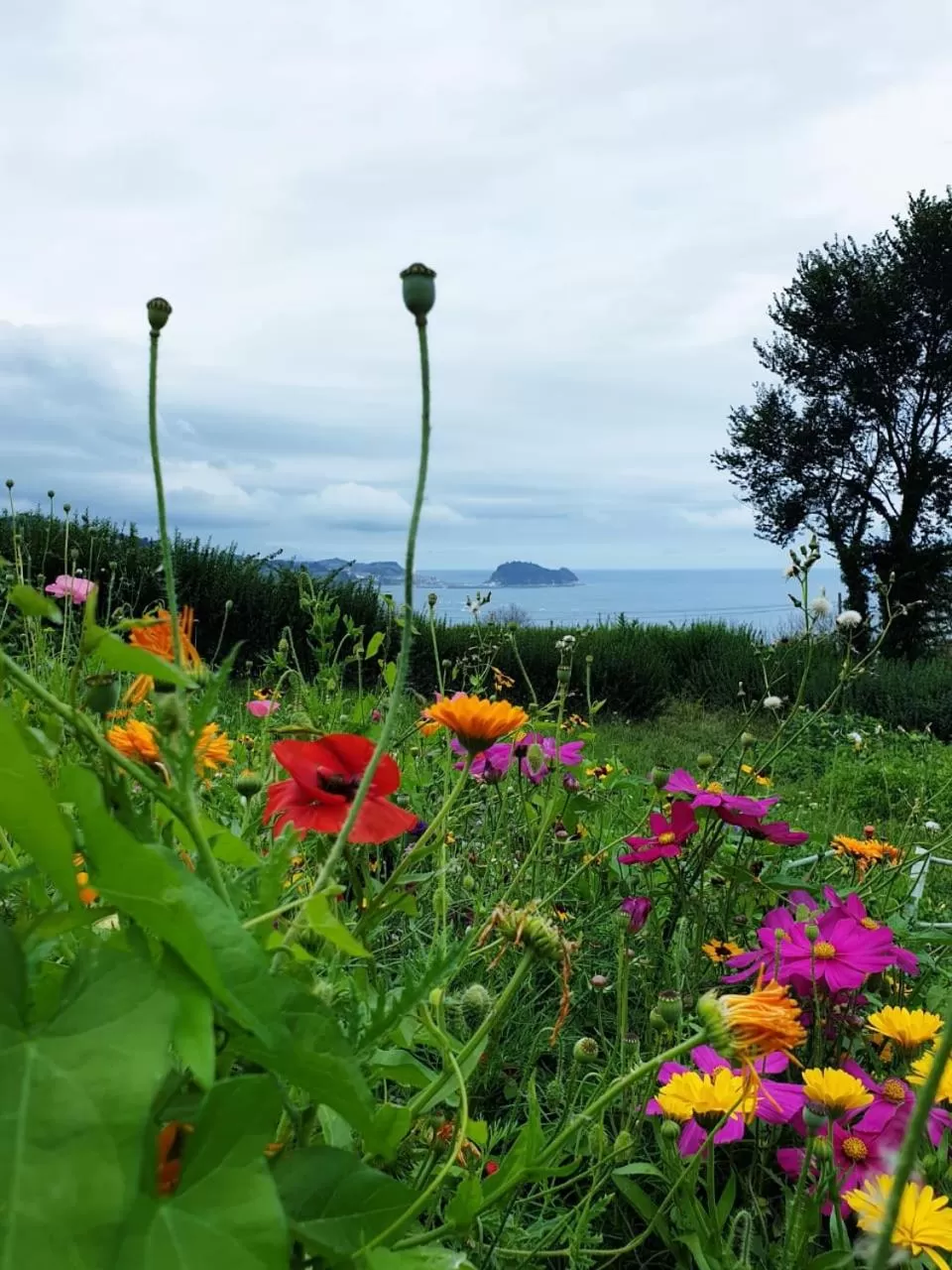 Sea view in Hotel Boutique Berazadi Berri