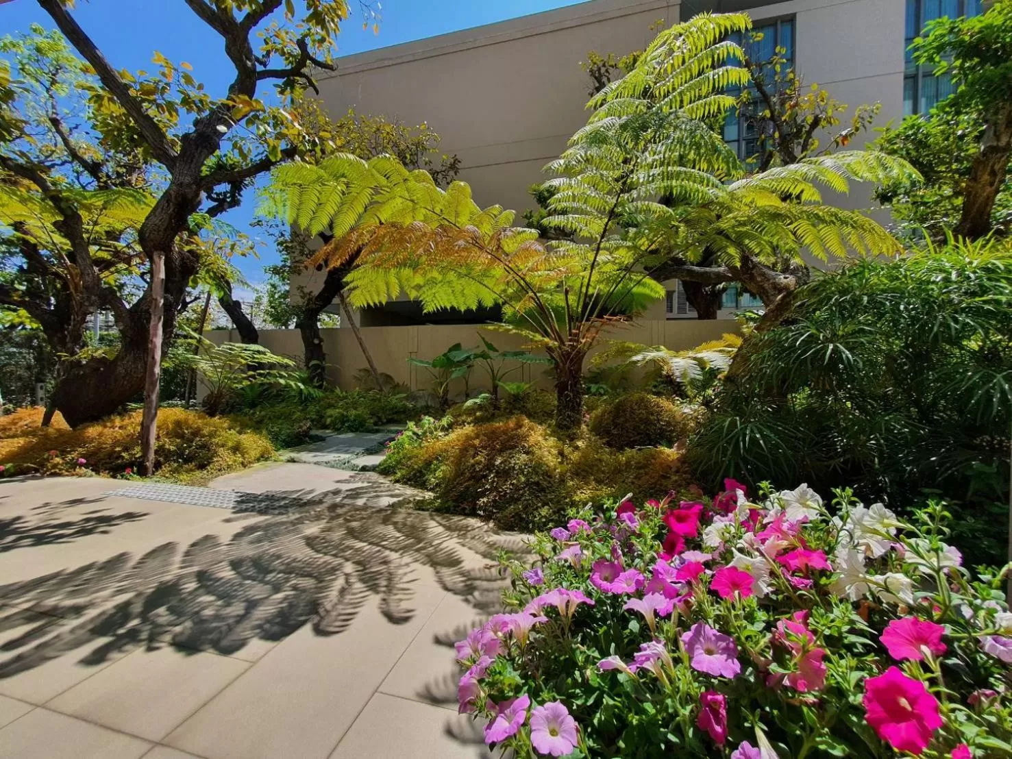 Garden in Ana Park Residence