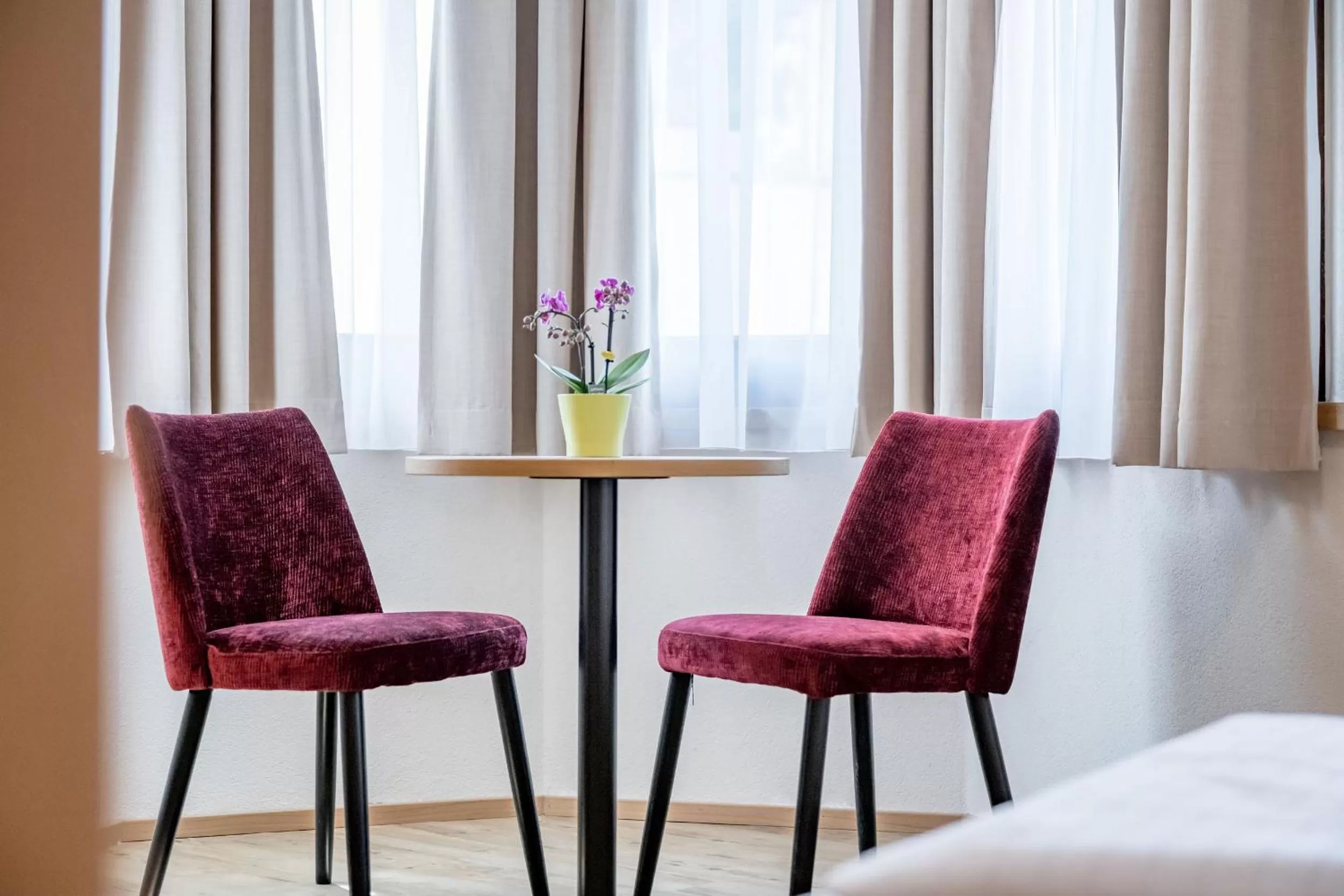 Photo of the whole room in Gasthof Schroll