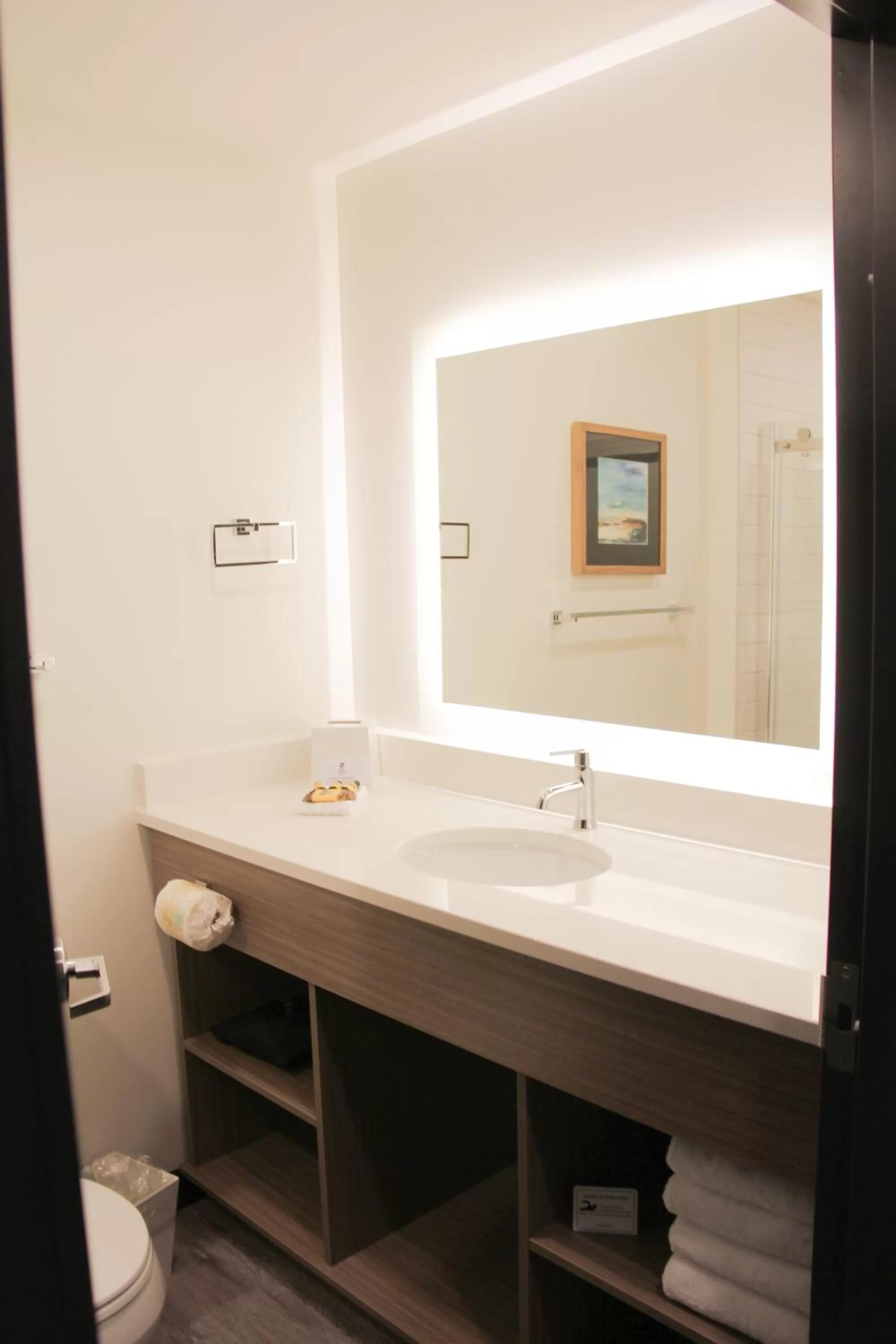 Bathroom in Best Western Plus Winkler