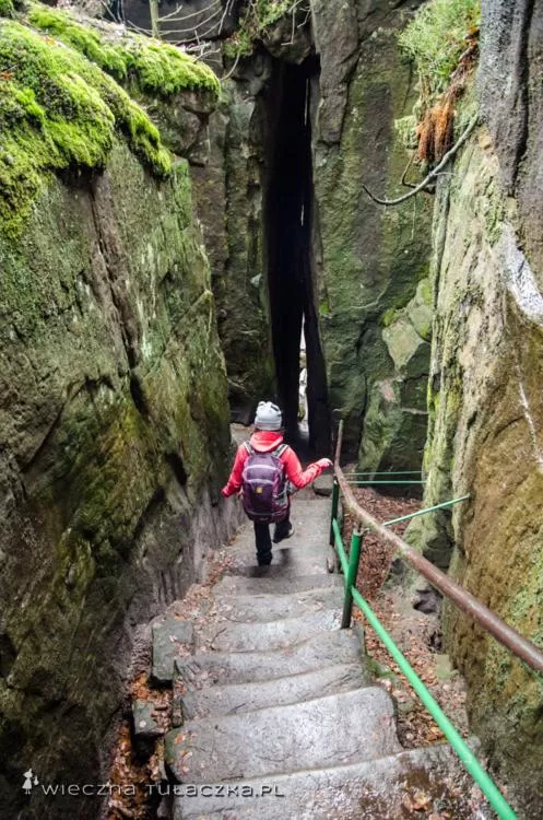 Other Activities in Villasol