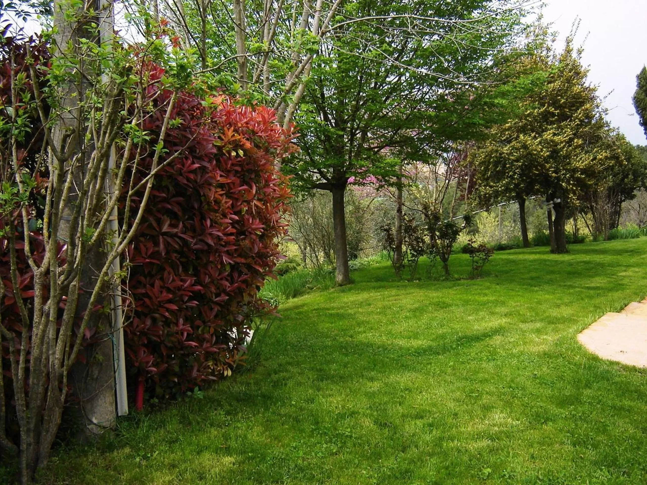 Garden in Casale del Monsignore