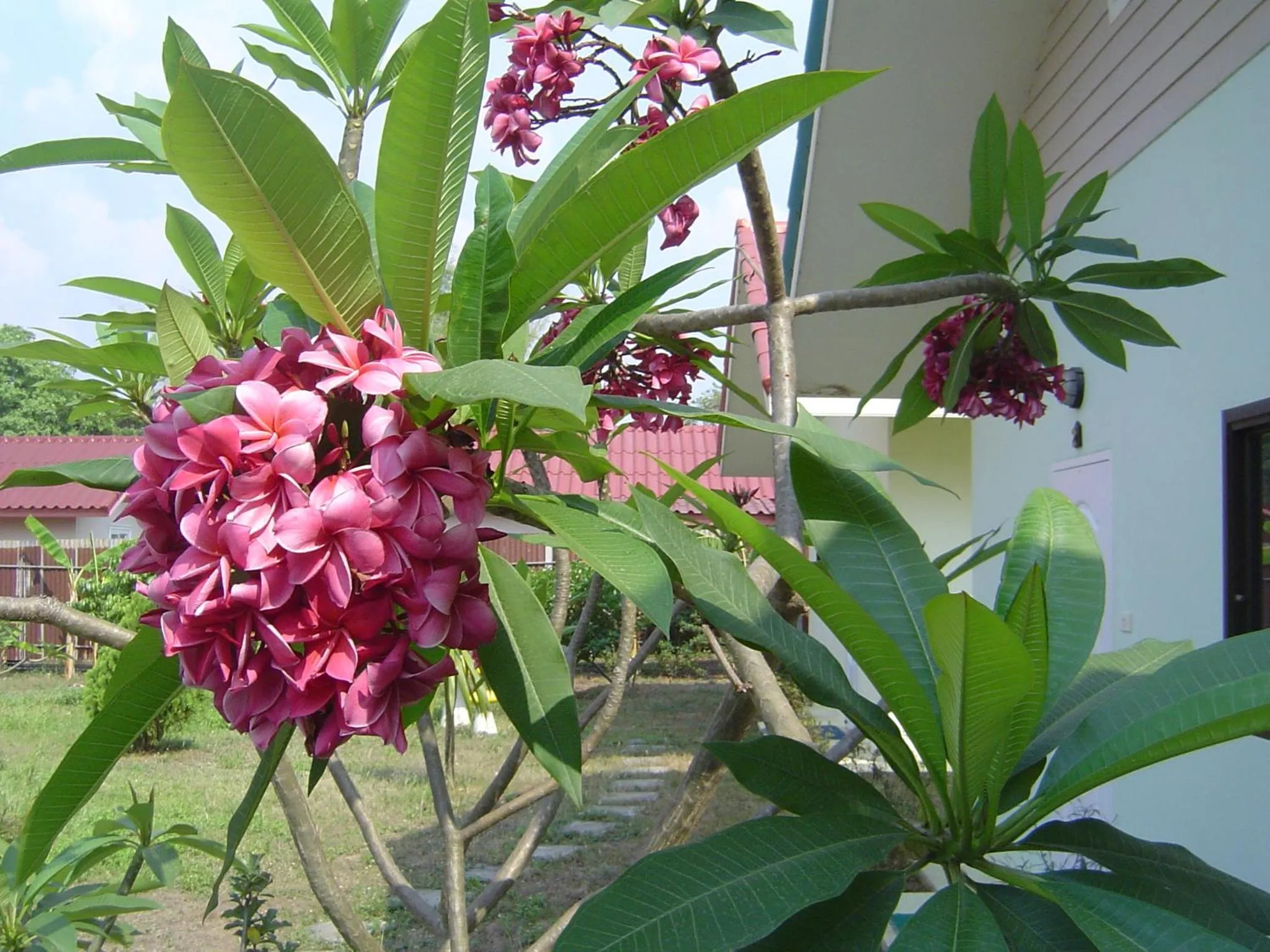 Garden in Mini-golf **** & Resort Ubon Ratchathani