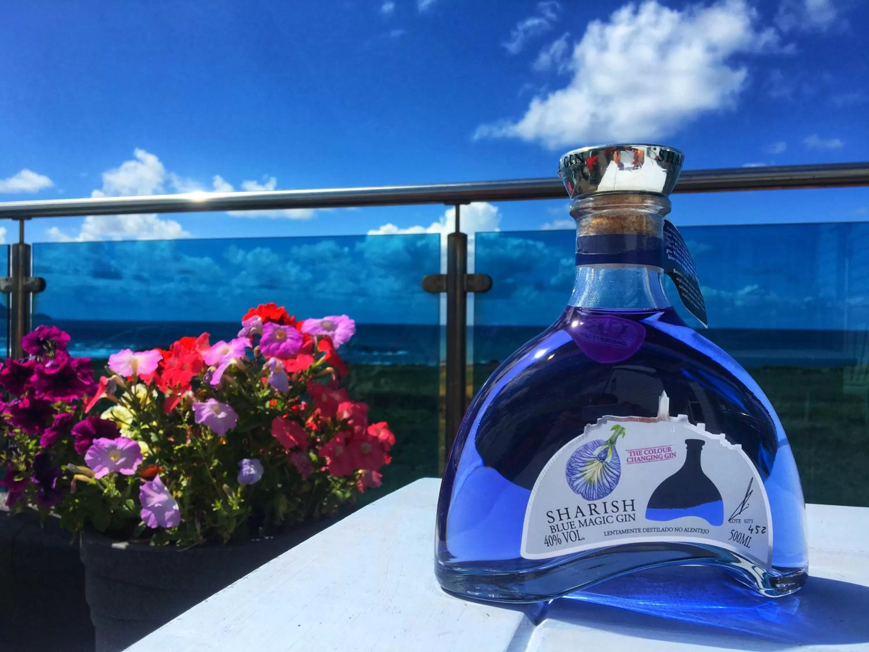 Alcoholic drinks, Drinks in The Bay View Inn