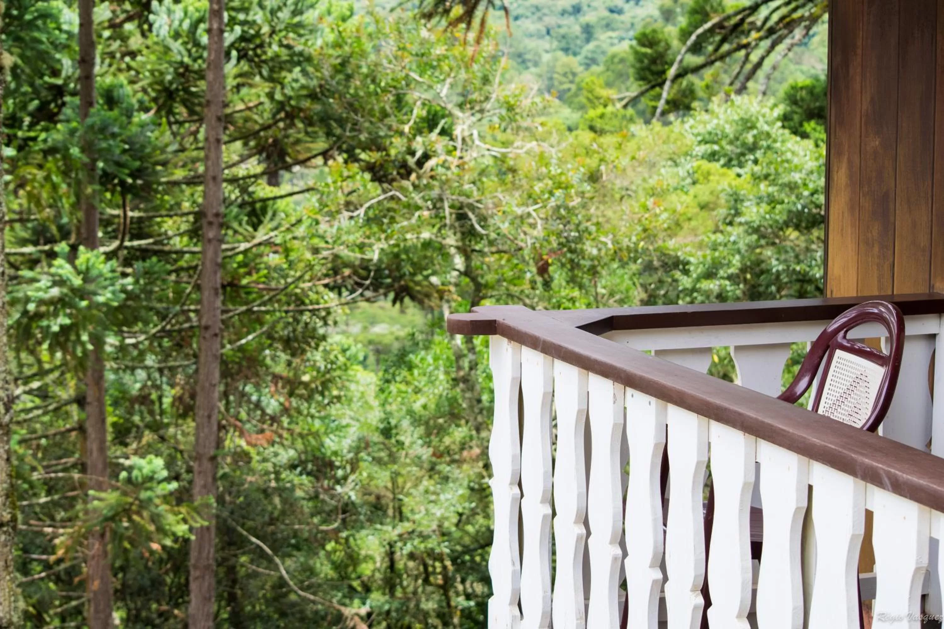 Natural landscape in Pousada Ricanto Amore Mio