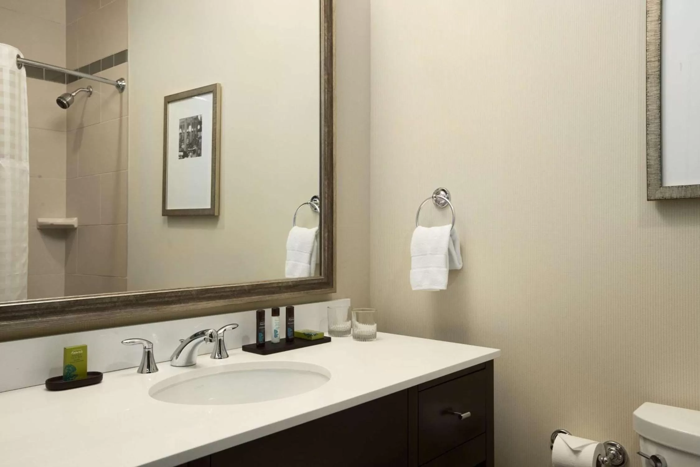 Deluxe Two Room One King Suite in Embassy Suites Saint Louis - Downtown