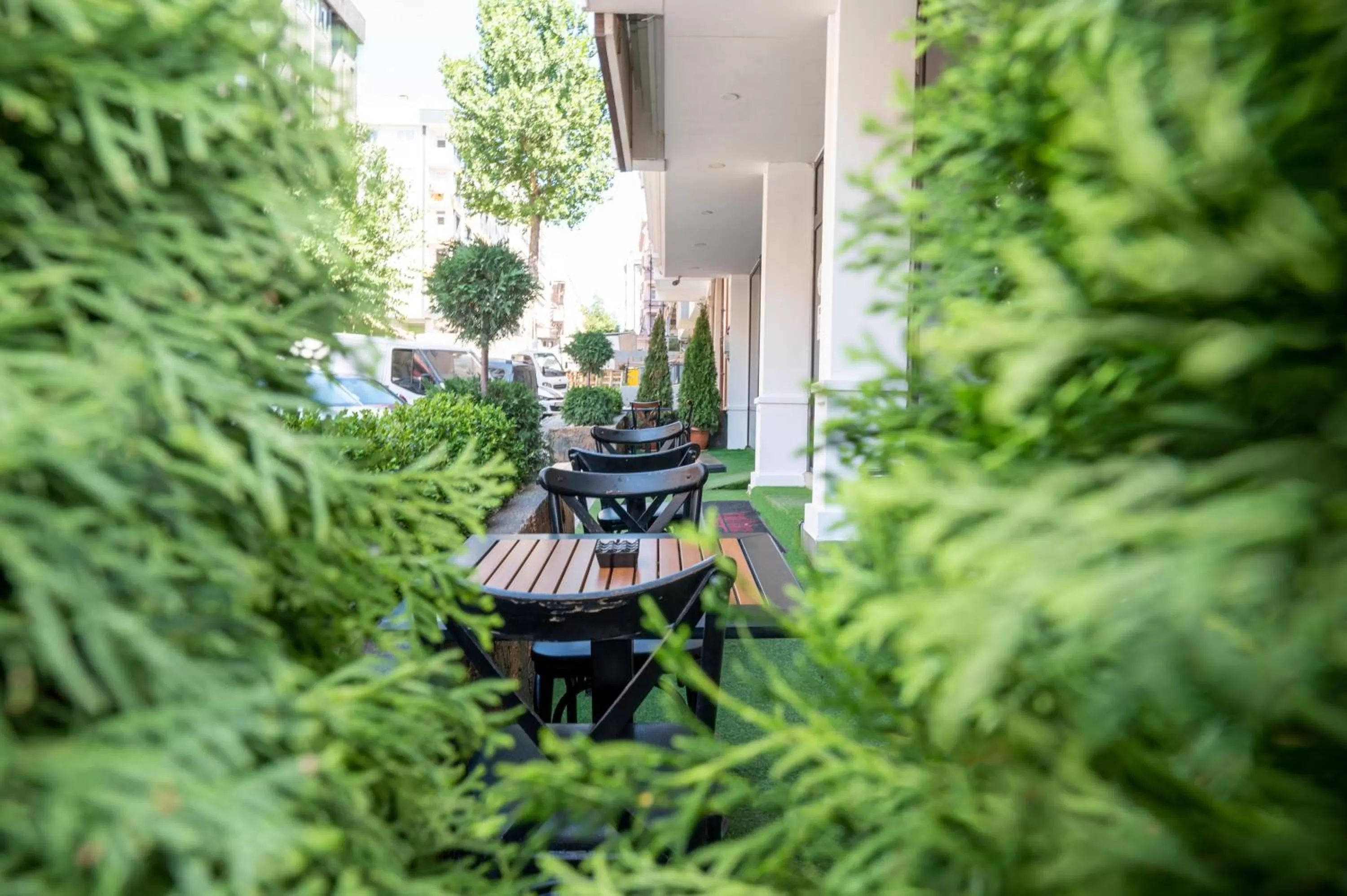Garden in Grand Palace Hotel