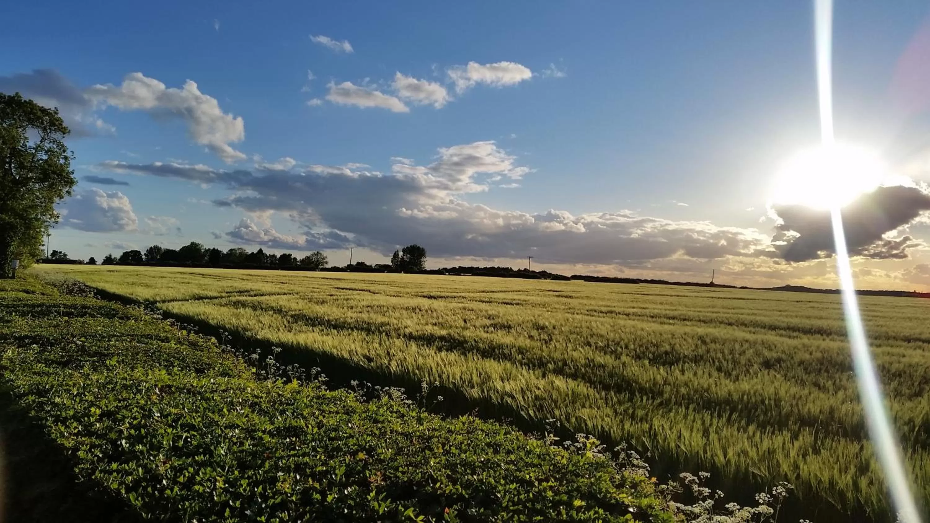 Natural landscape in The Royal Arms Hotel Room Only