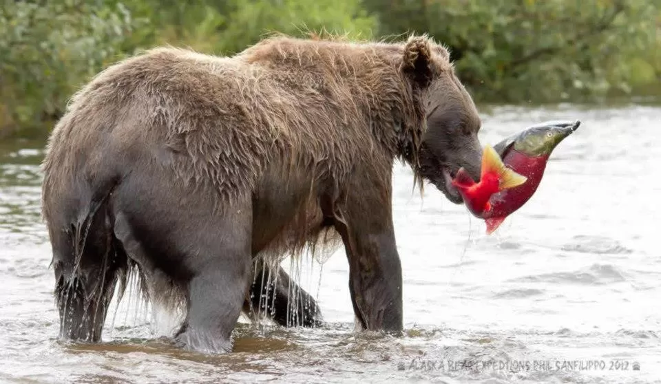 Off site in Halcyon Heights B&B/Inn