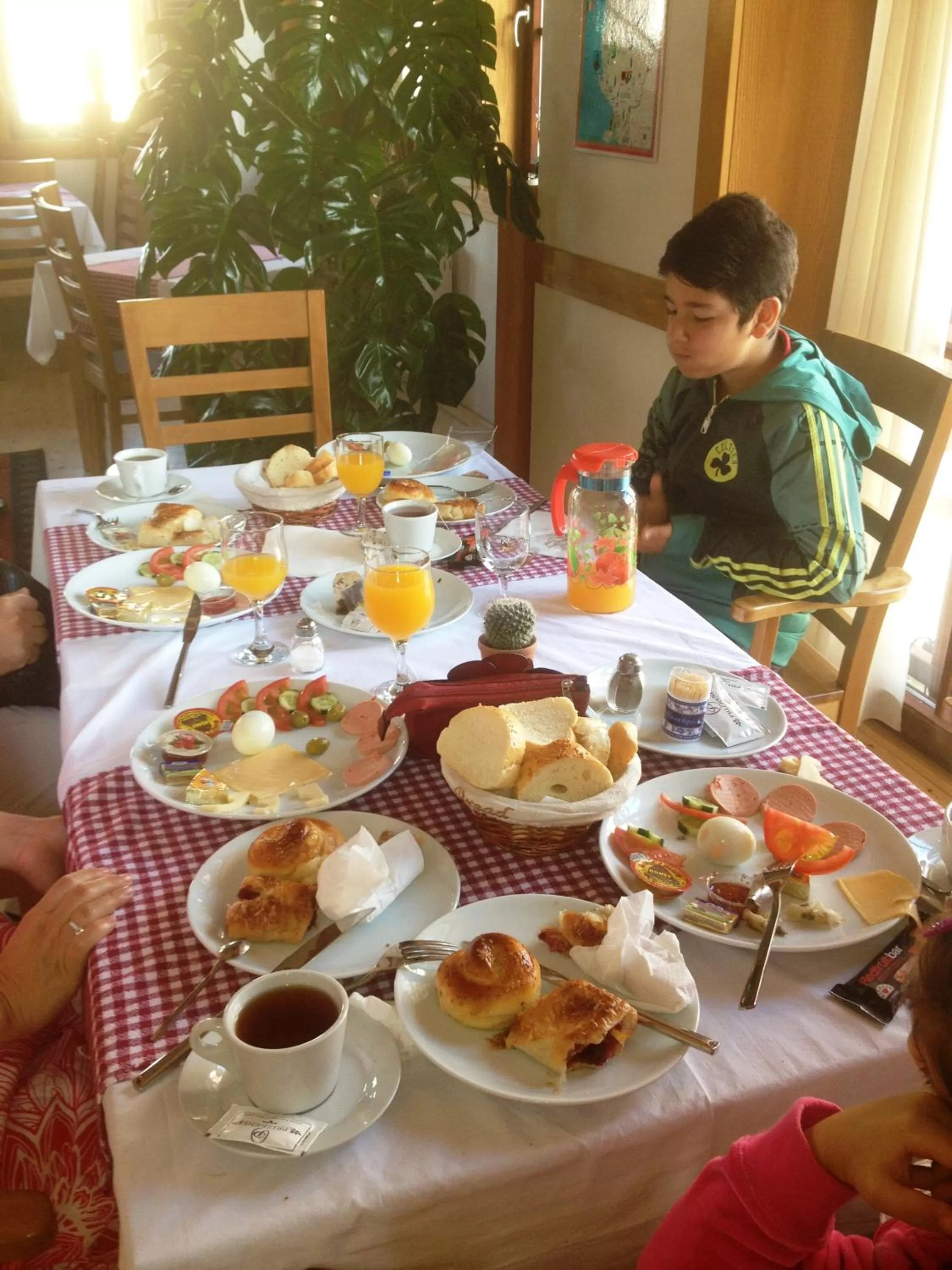 Other in Hotel Prizreni