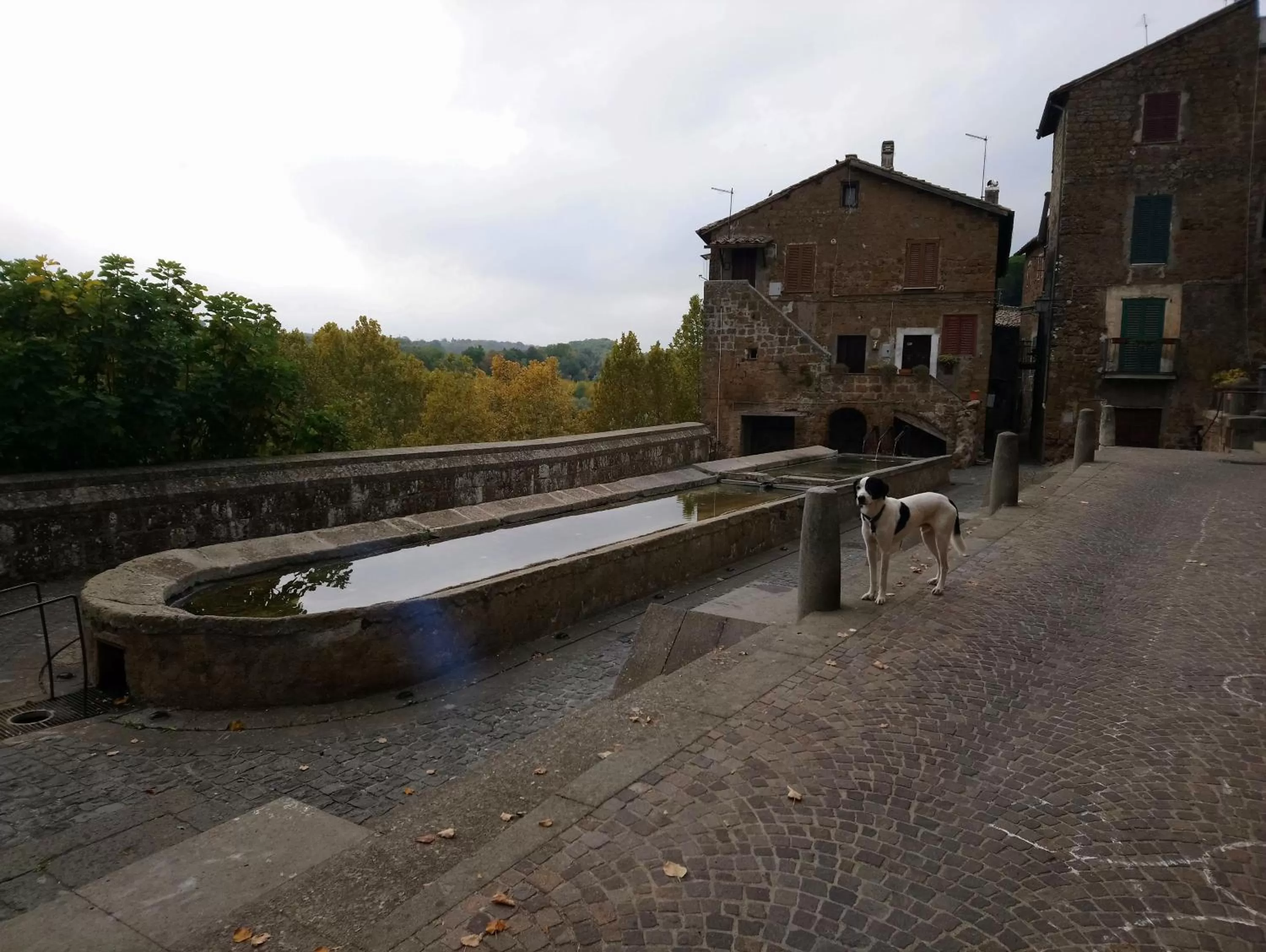 Nearby landmark in Nerone's - Sutri Bed & Dinner
