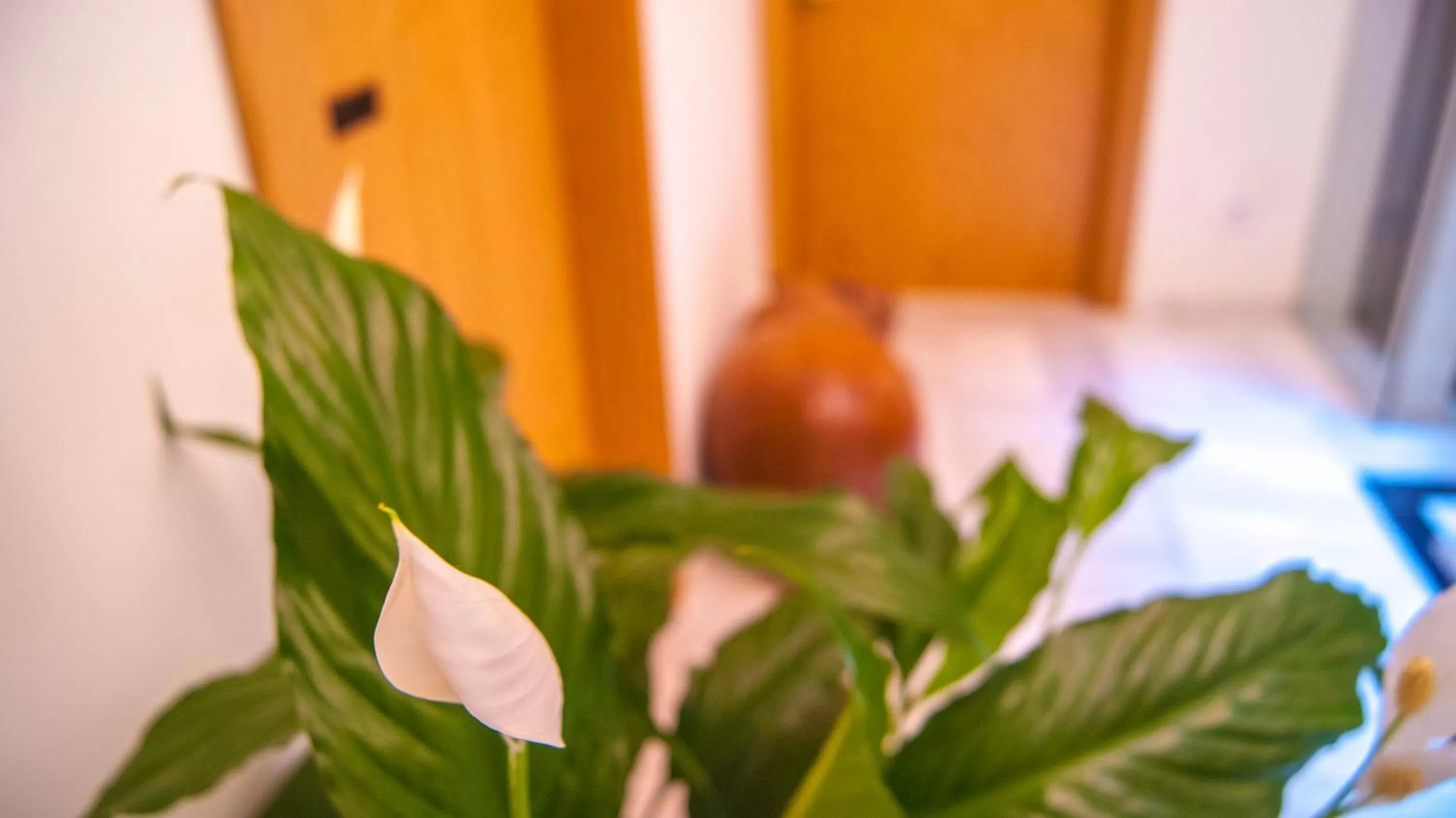 Lobby or reception in Sweet Sevilla Suites