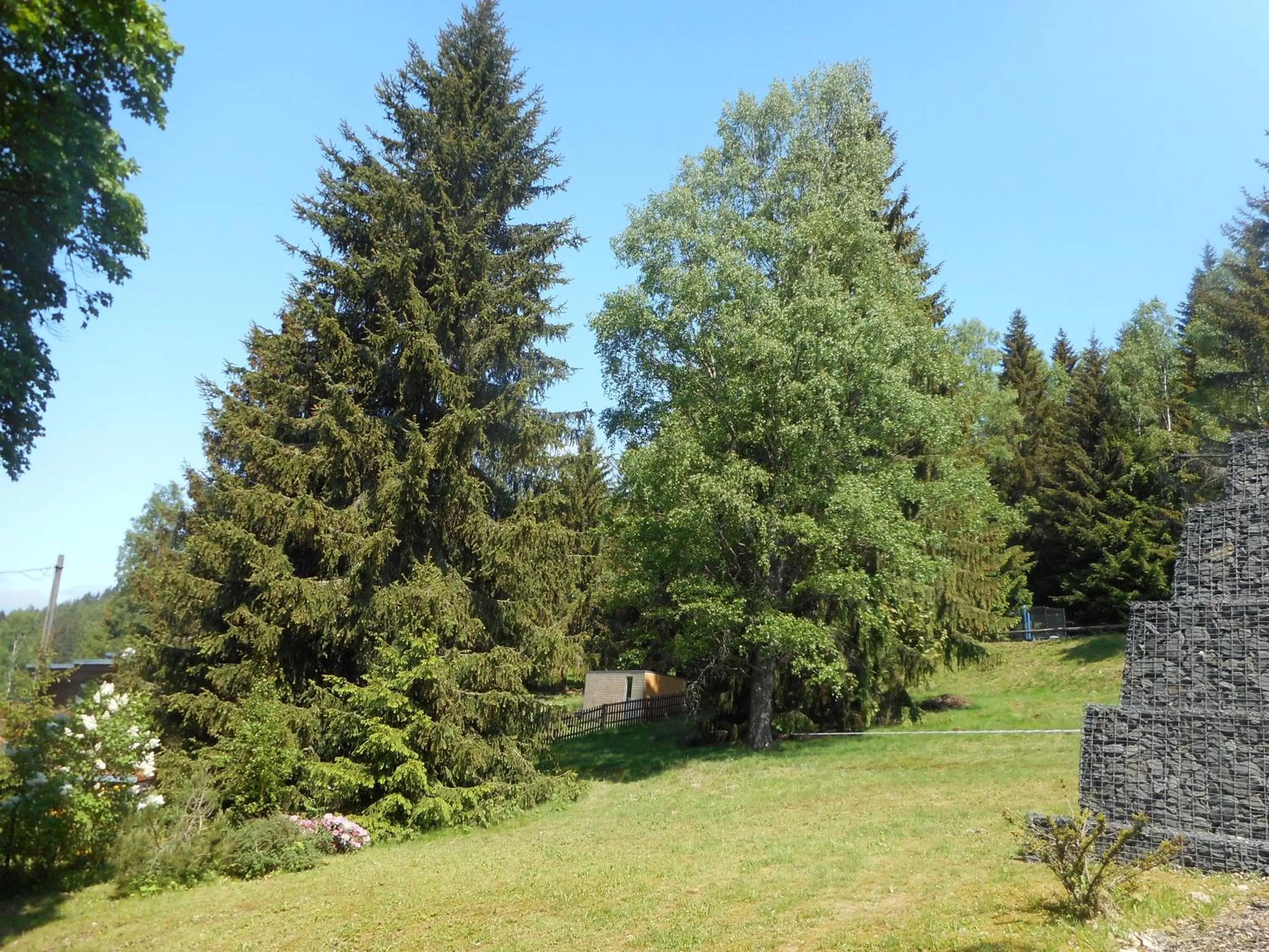 Garden view in Pension U Jelinka
