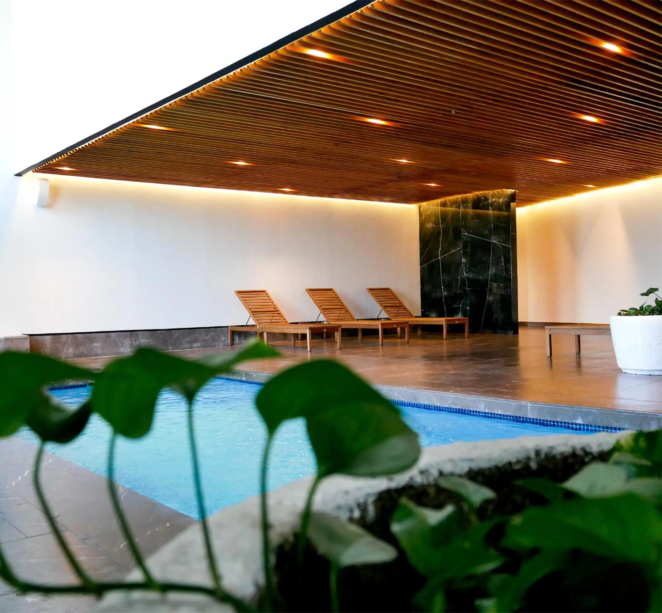 Swimming pool in Marriott Torreon Hotel