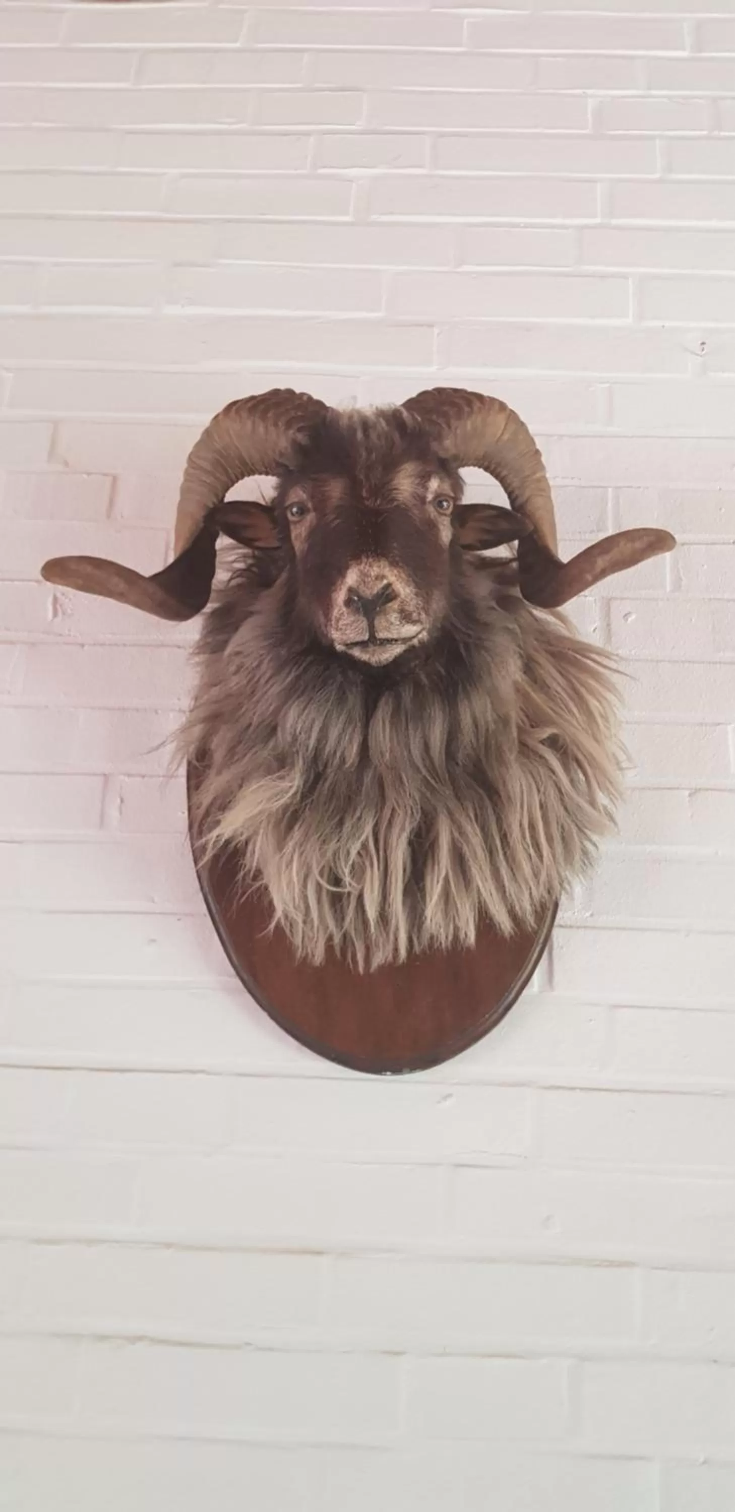 Other in Hotel Haus Hubertus