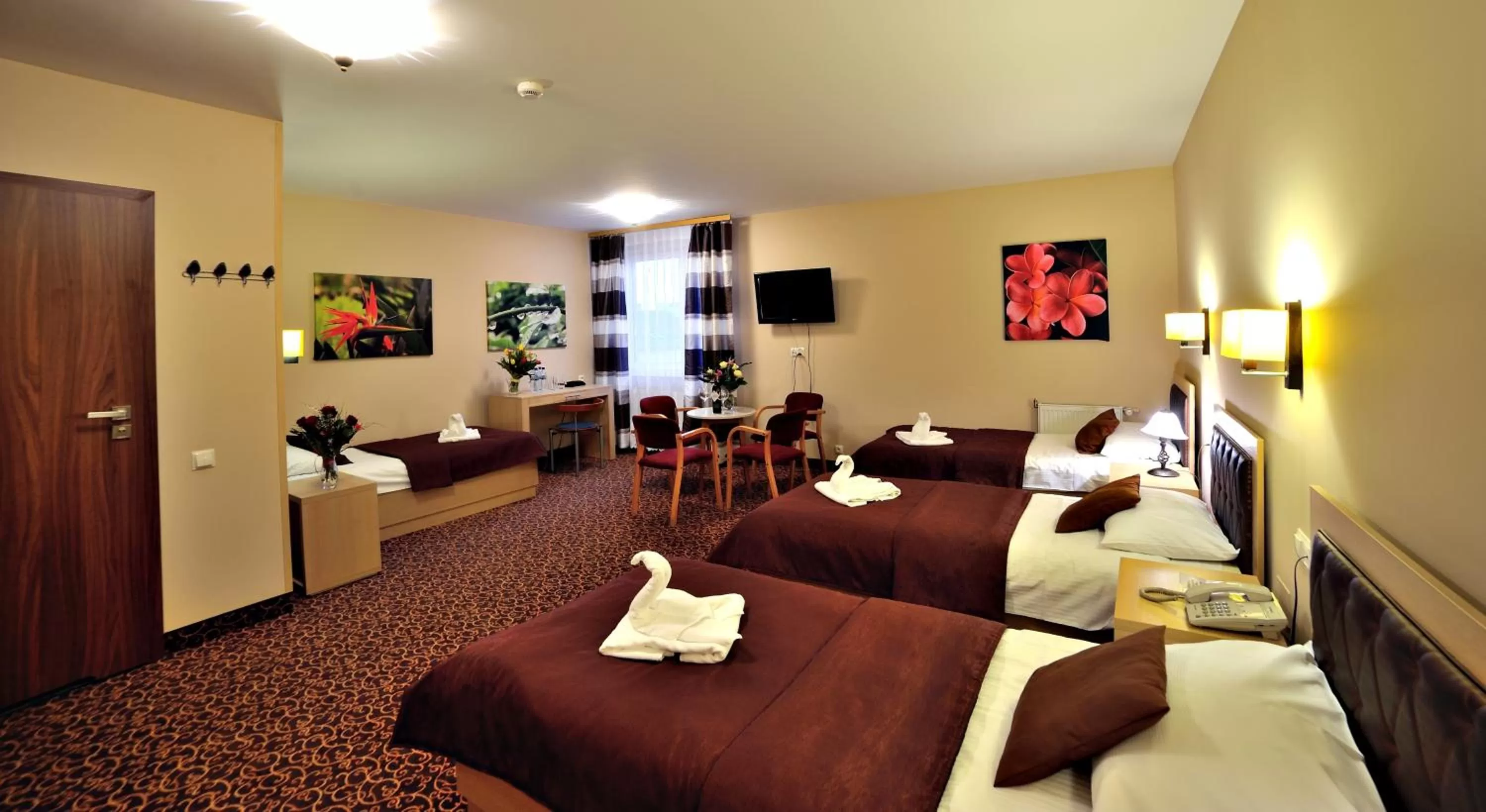 Photo of the whole room in Hotel Partner