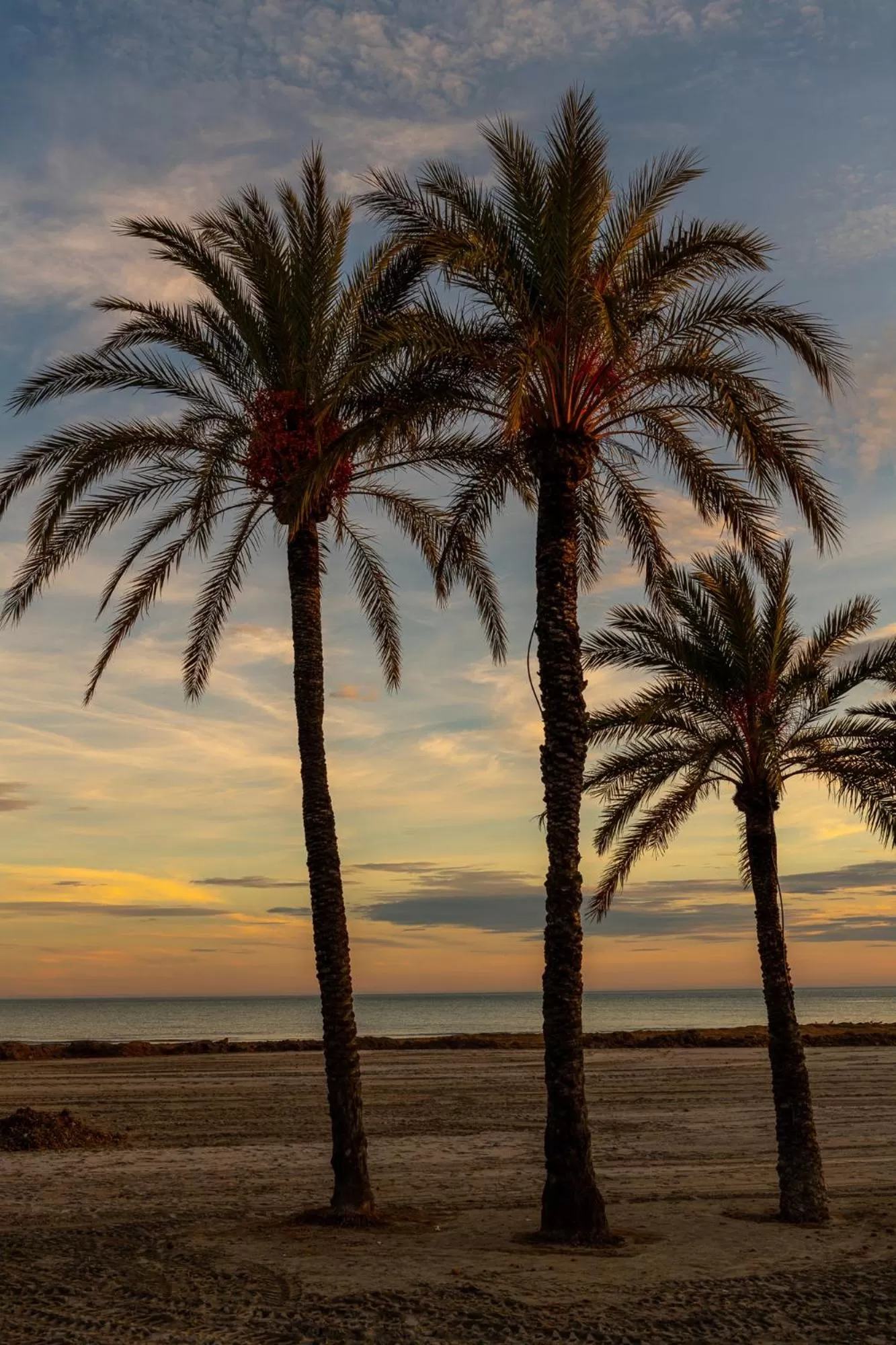 Beach in Santa Pola Apartments