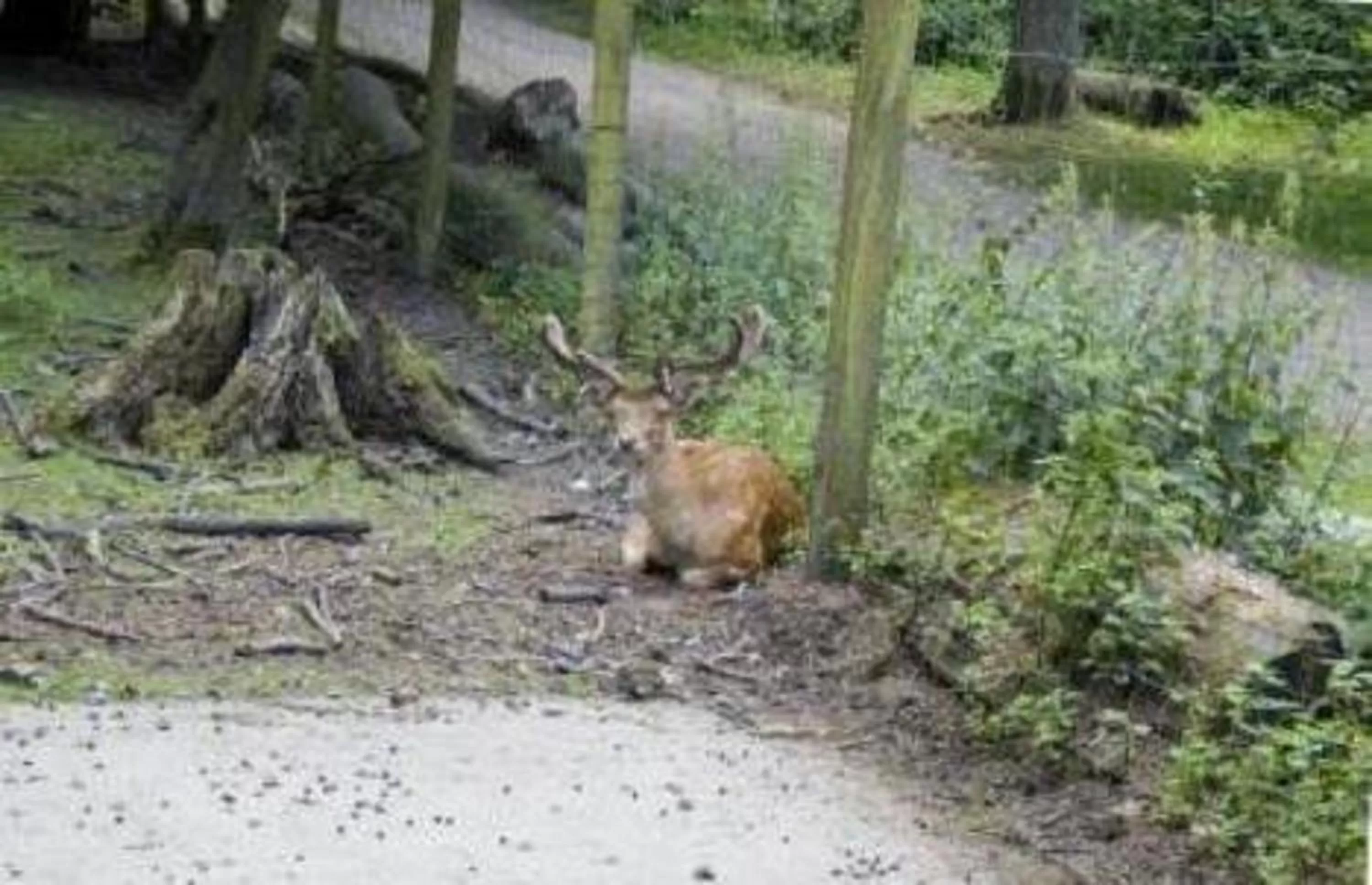 Natural landscape in Hotel Haus Hohenstein
