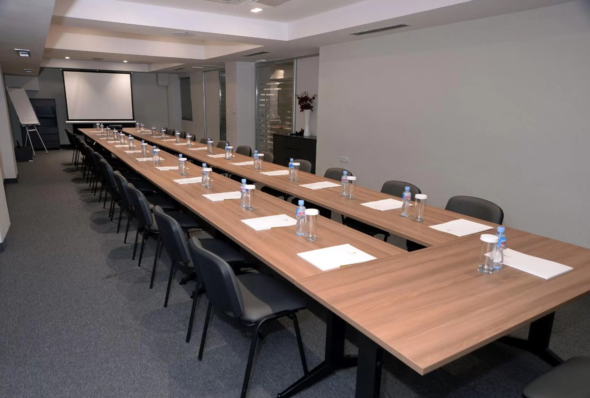 Business facilities in Hotel Alexandar II