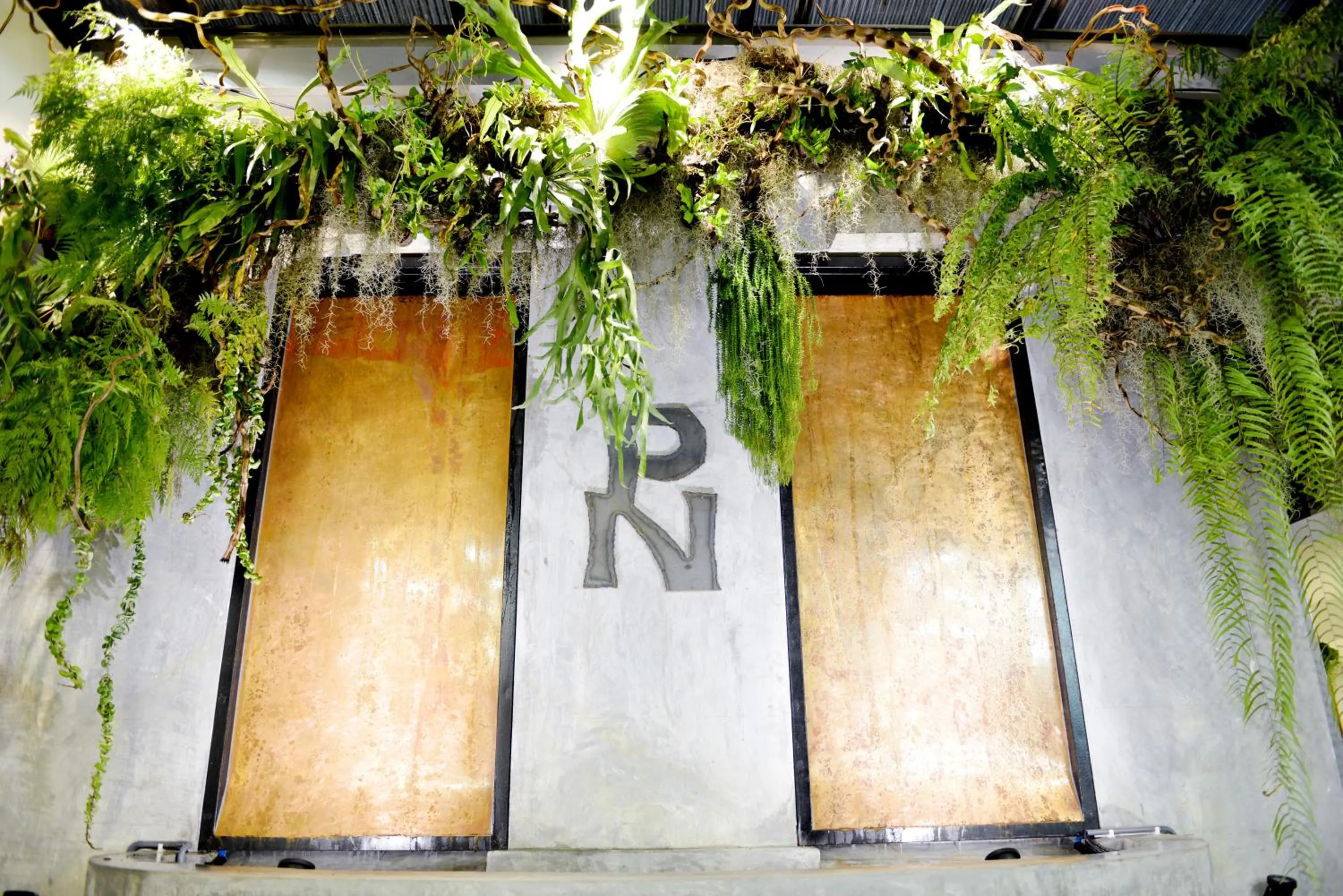 Garden in Picnic Hotel Bangkok - Rang Nam