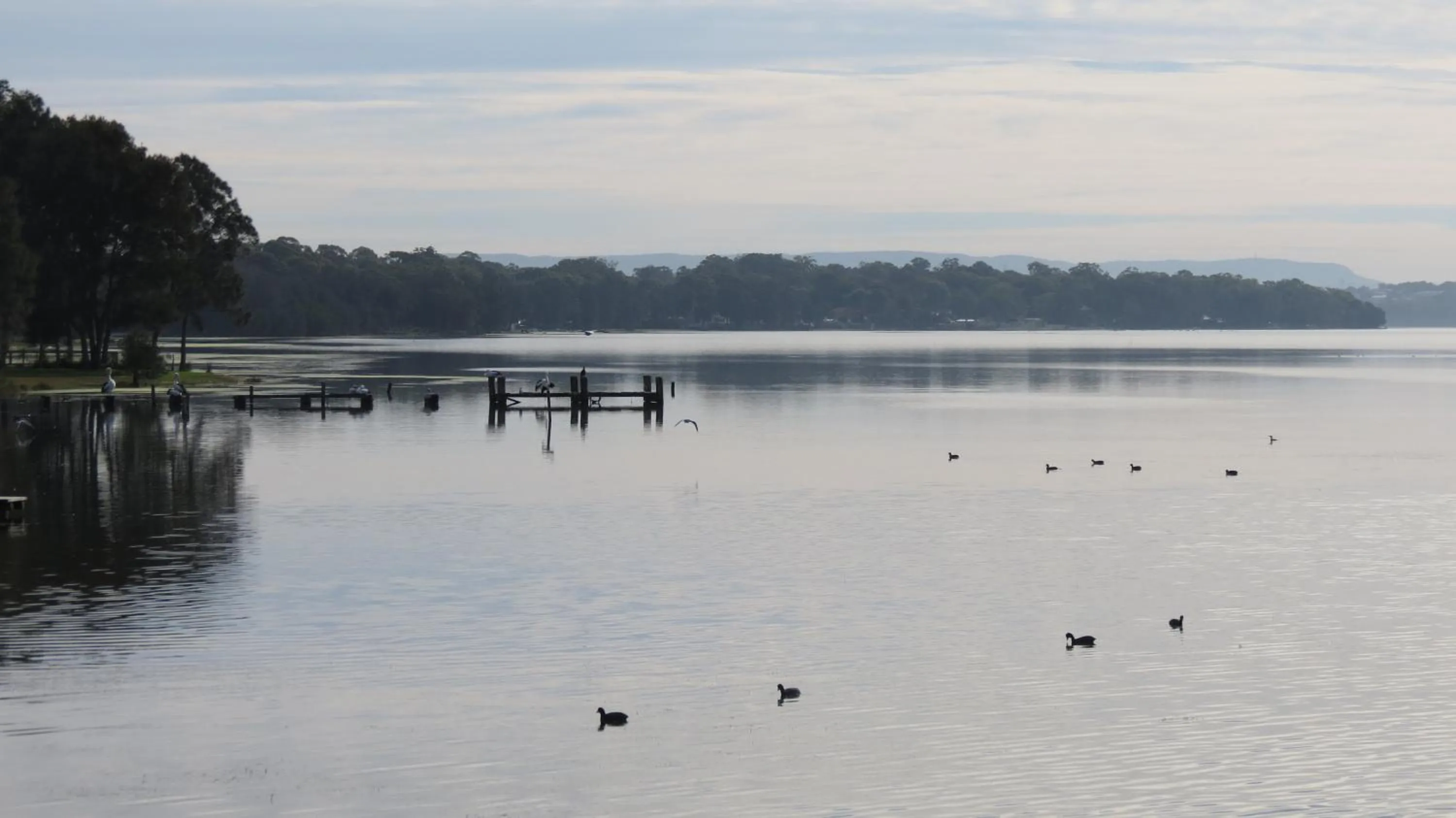 Natural landscape in Bridge View Motel