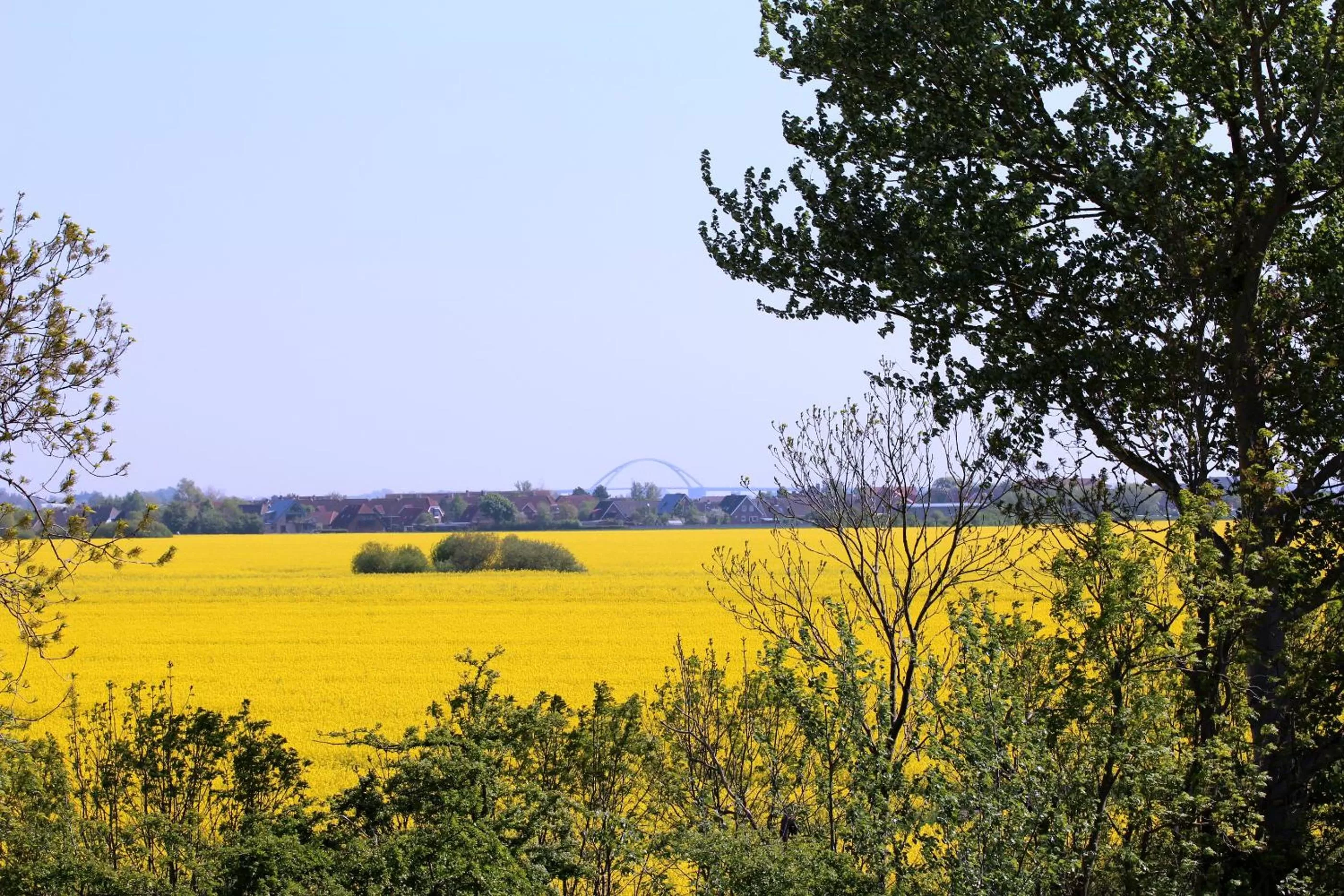 View (from property/room) in Avalon Hotel Bellevue