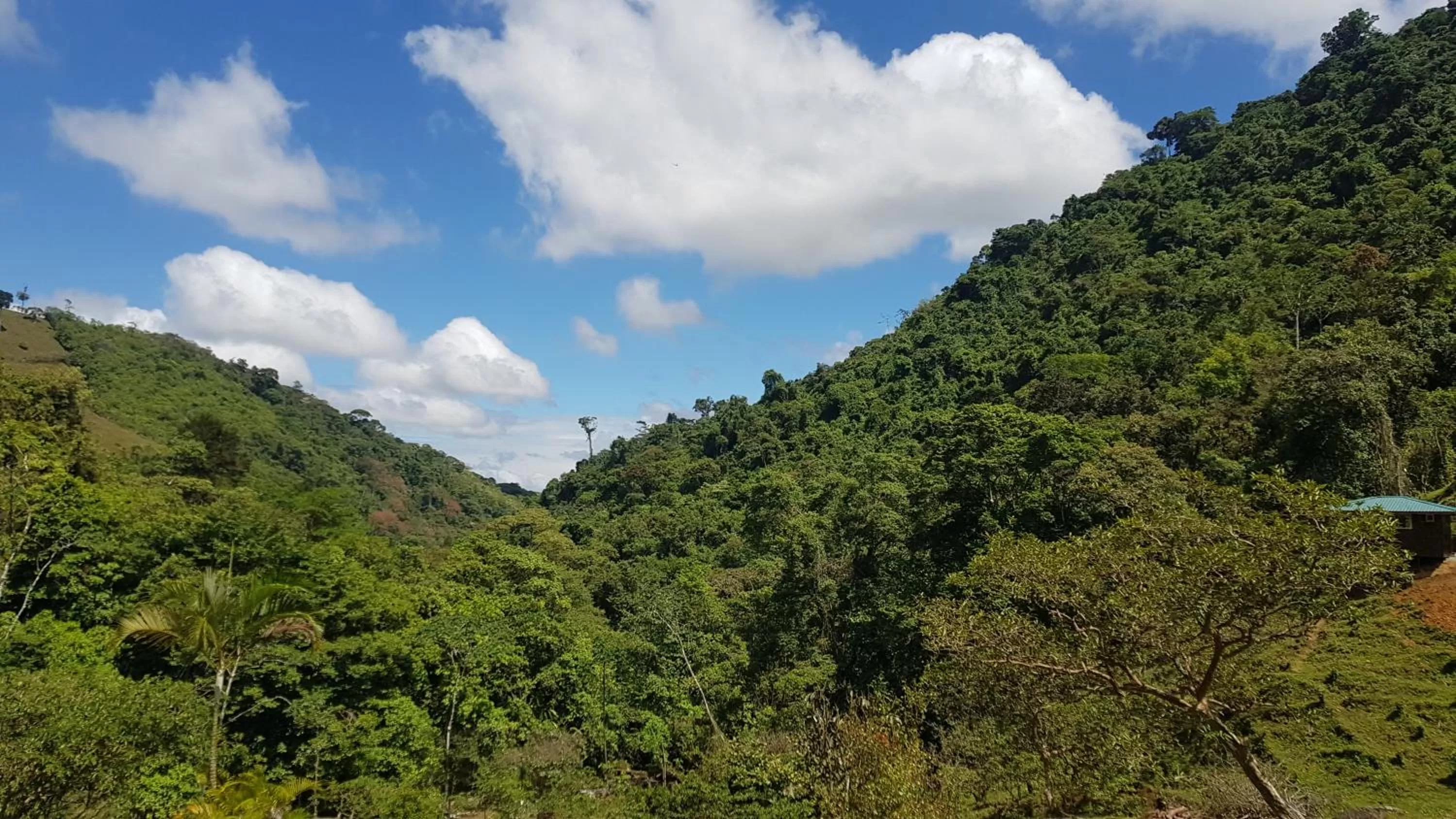 Natural landscape in Hotel Rivel - Adventure & Nature Retreat