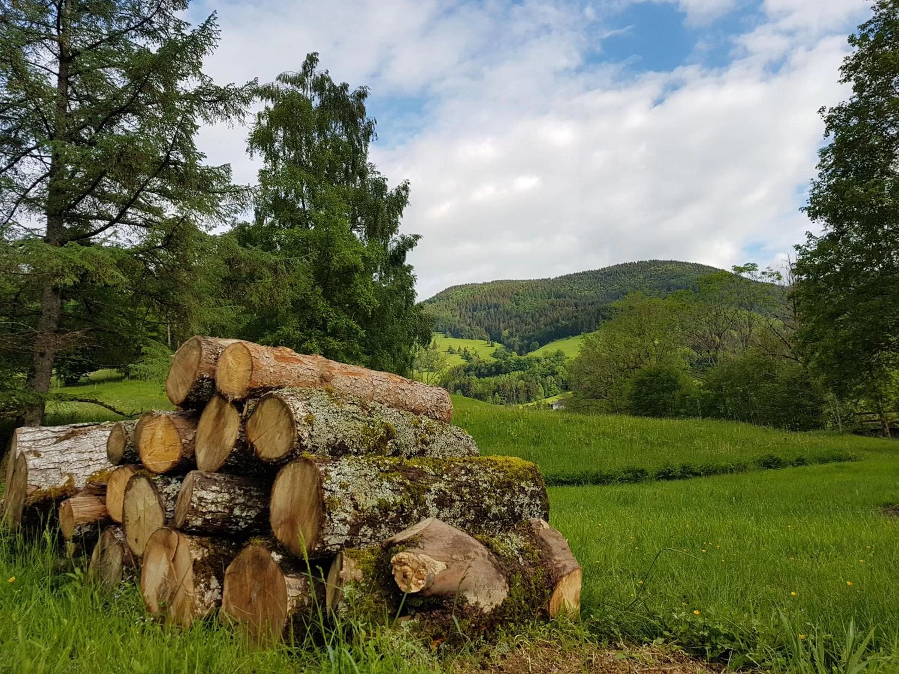Natural Landscape in Hotel Landhaus Sonnenhof