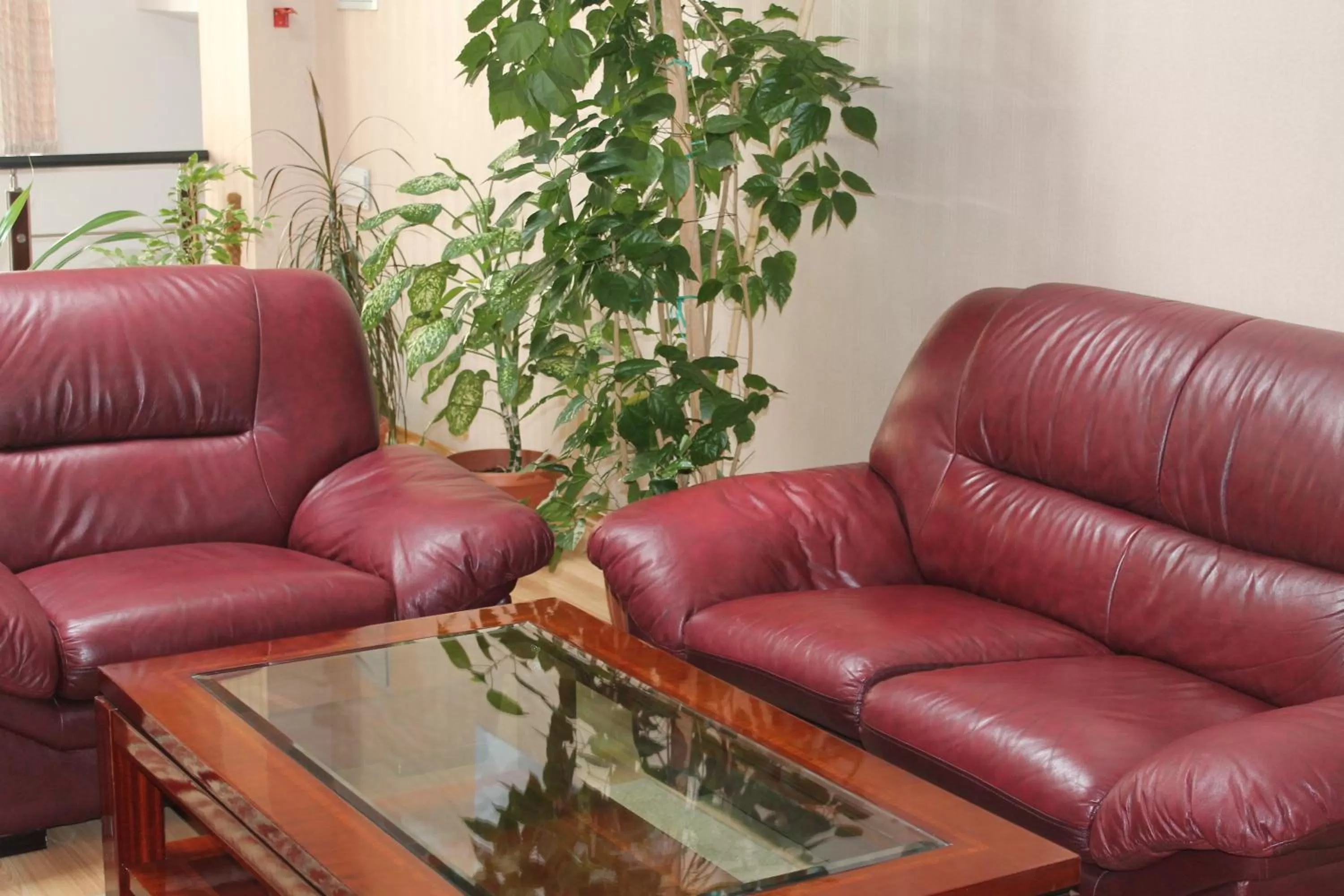 Business facilities, Seating Area in Deluxe SPA-Hotel