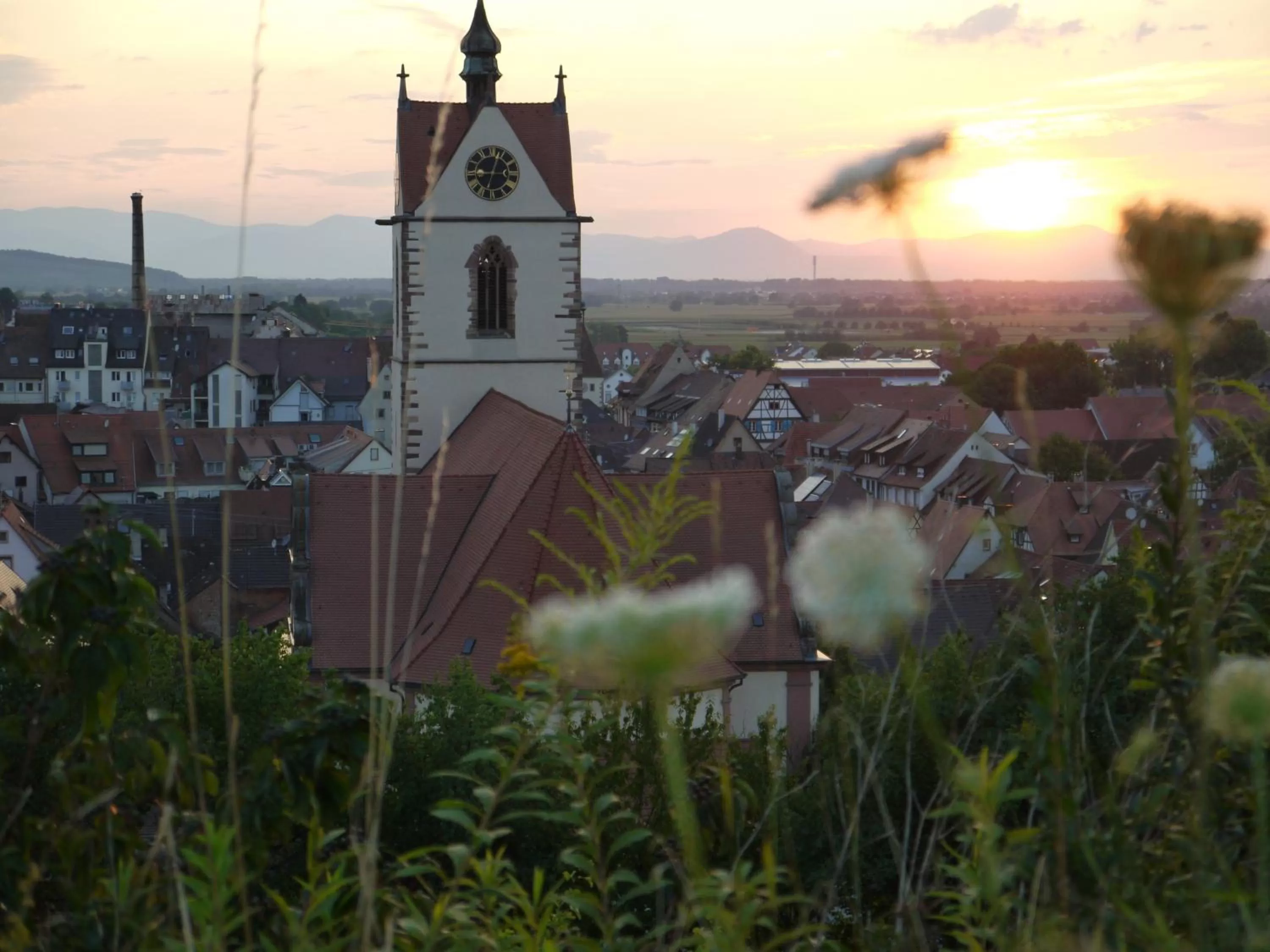Nearby landmark in Hotel Engel