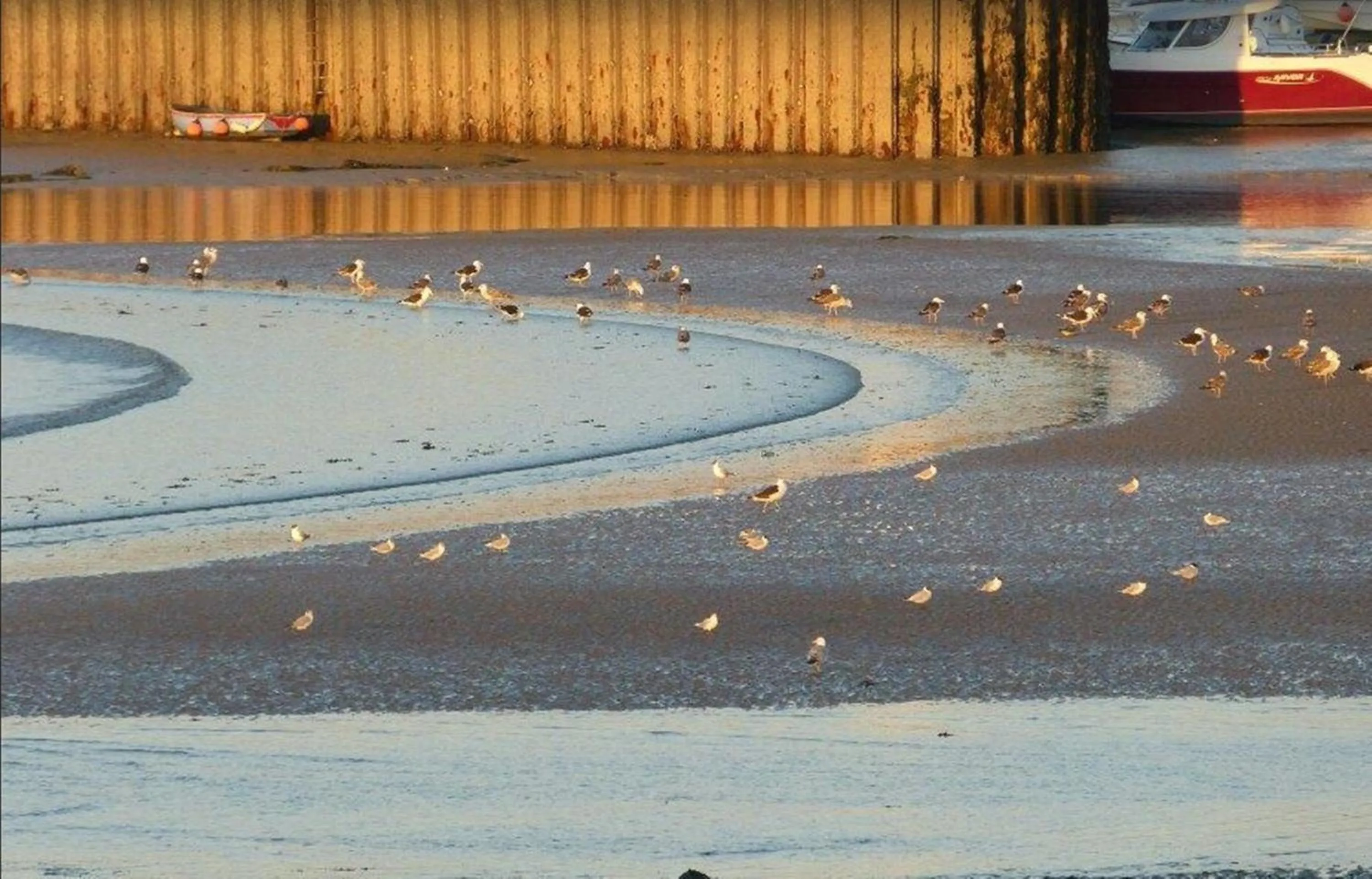 Beach in ibis Bayeux Port En Bessin
