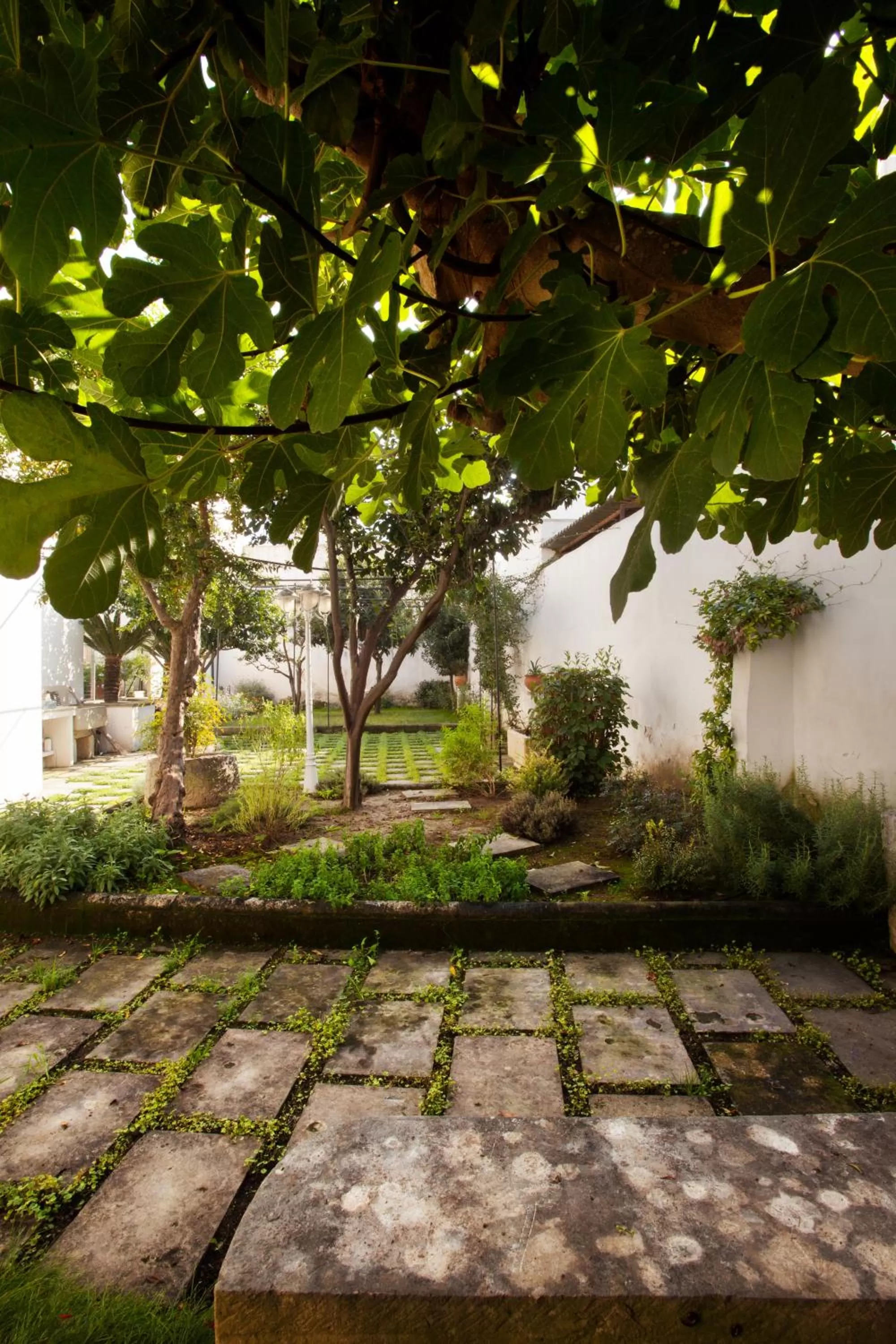 Garden in La Naca Della Taranta B&B