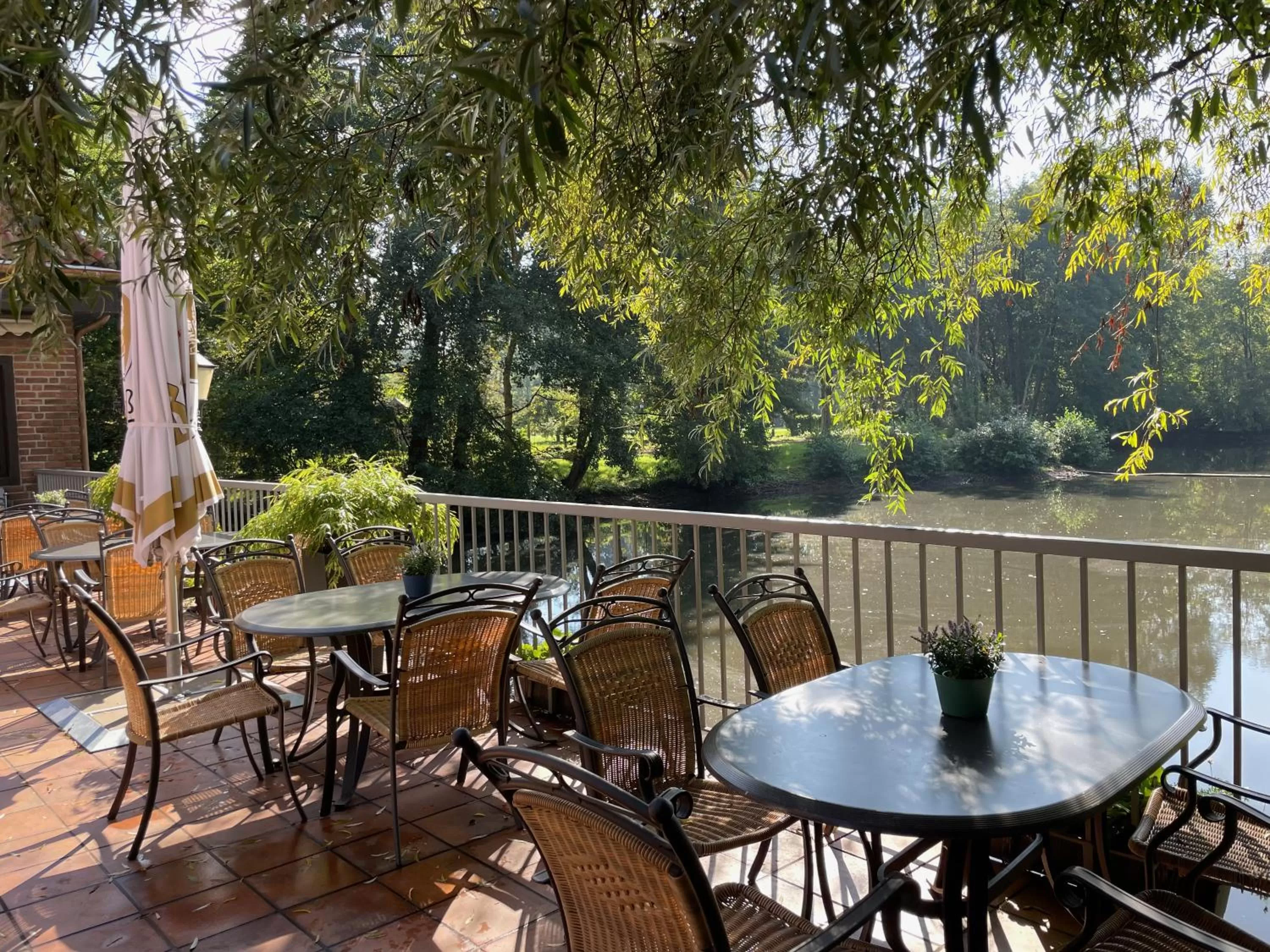 Restaurant/places to eat in Hotel Schloss Diepenbrock