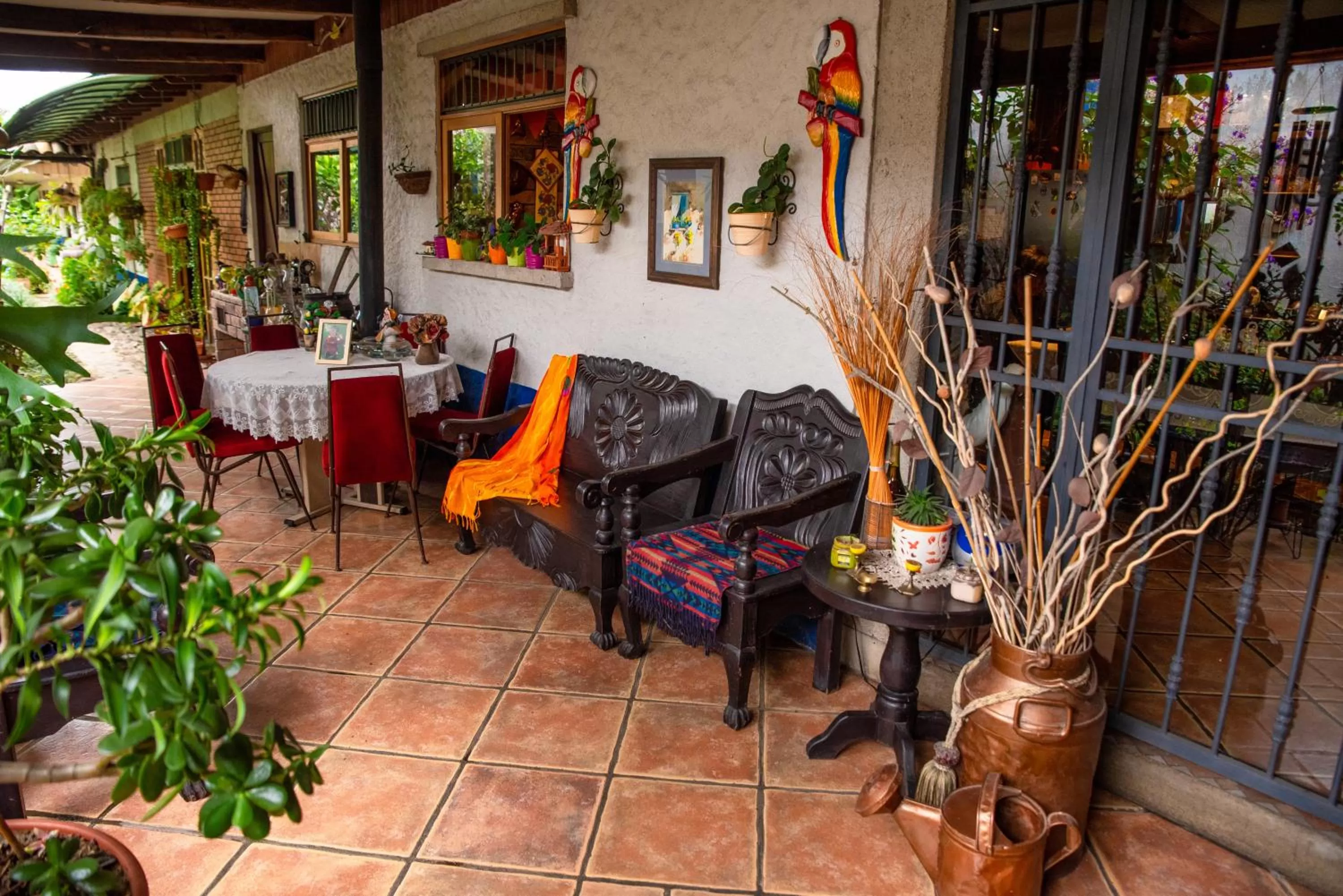 Patio in La Casa de Mamá Coyita