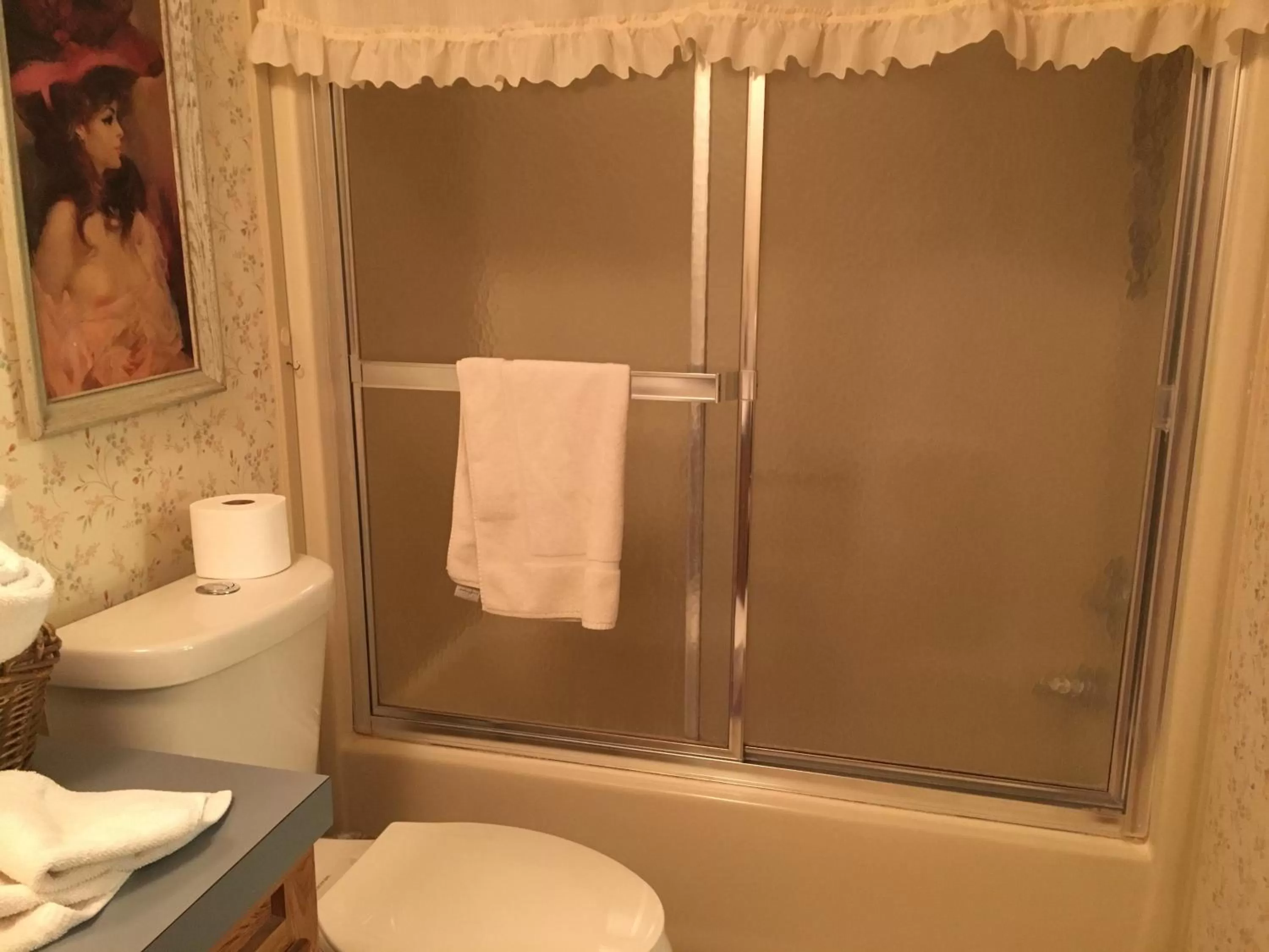 Shower in Shady Lady Bed and Breakfast