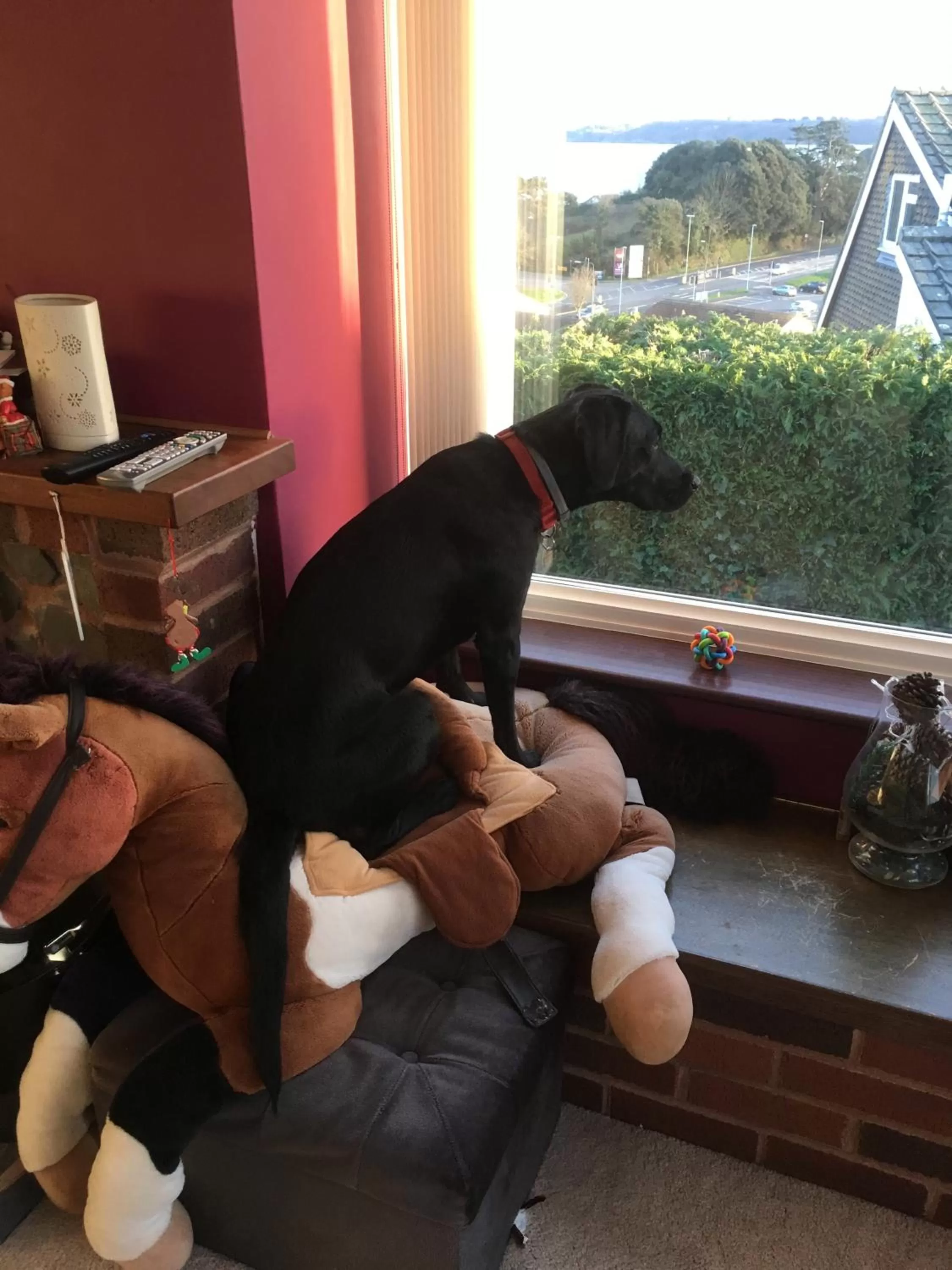 On site in Luxury 3 bedded room with sea peeps and parking