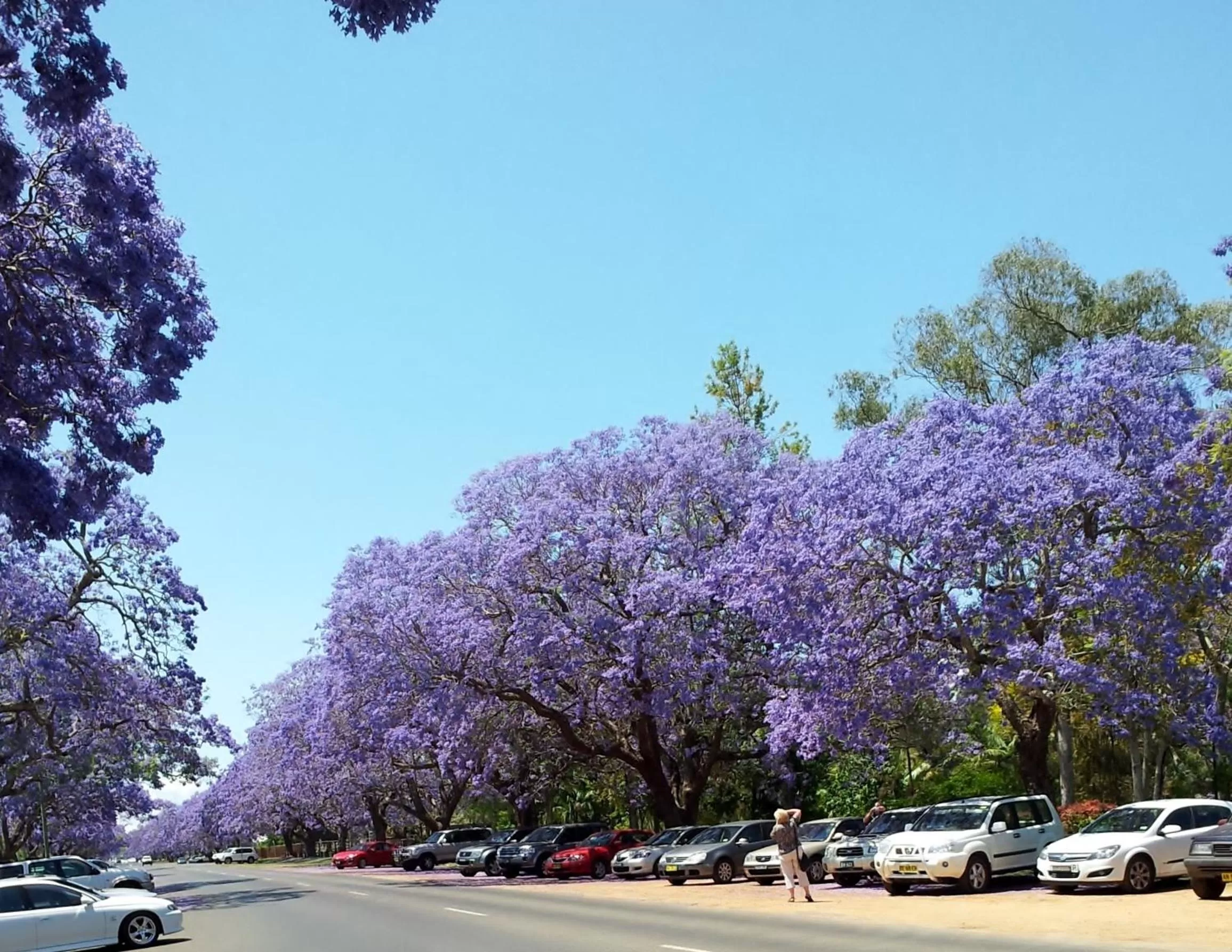 Spring in Andavine House - Bed & Breakfast