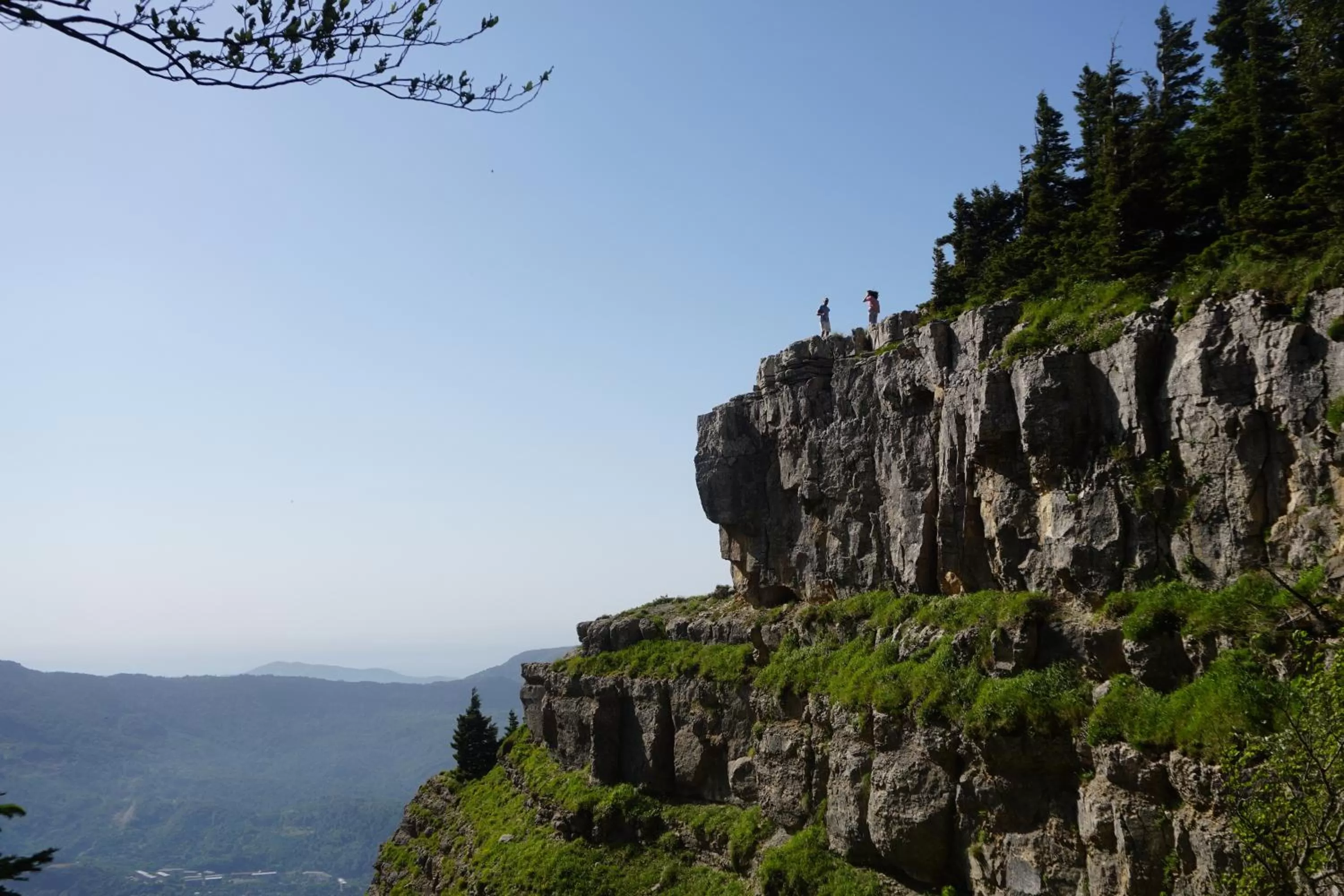 Natural Landscape in Hotel Tskhumi