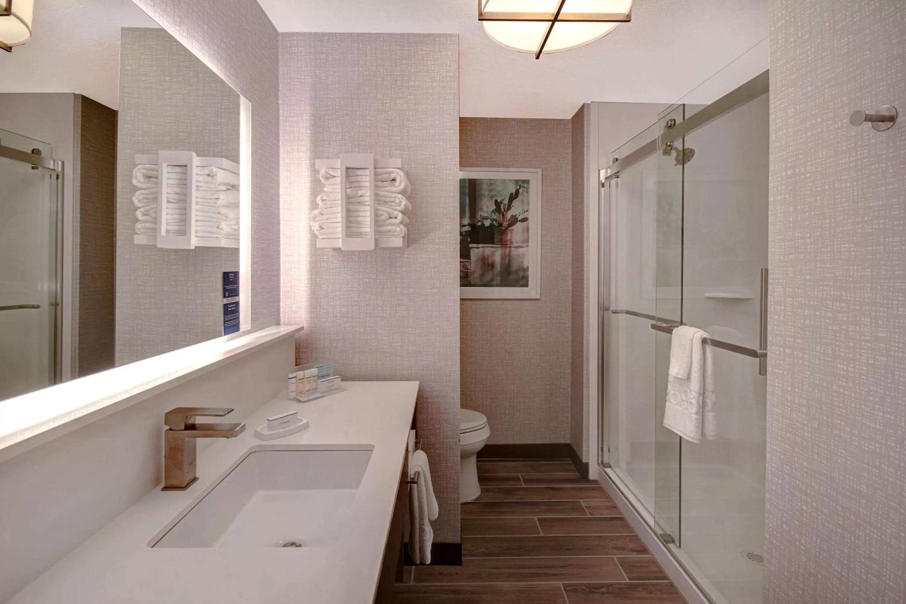 Bathroom in Hampton Inn Tucson Downtown, Az