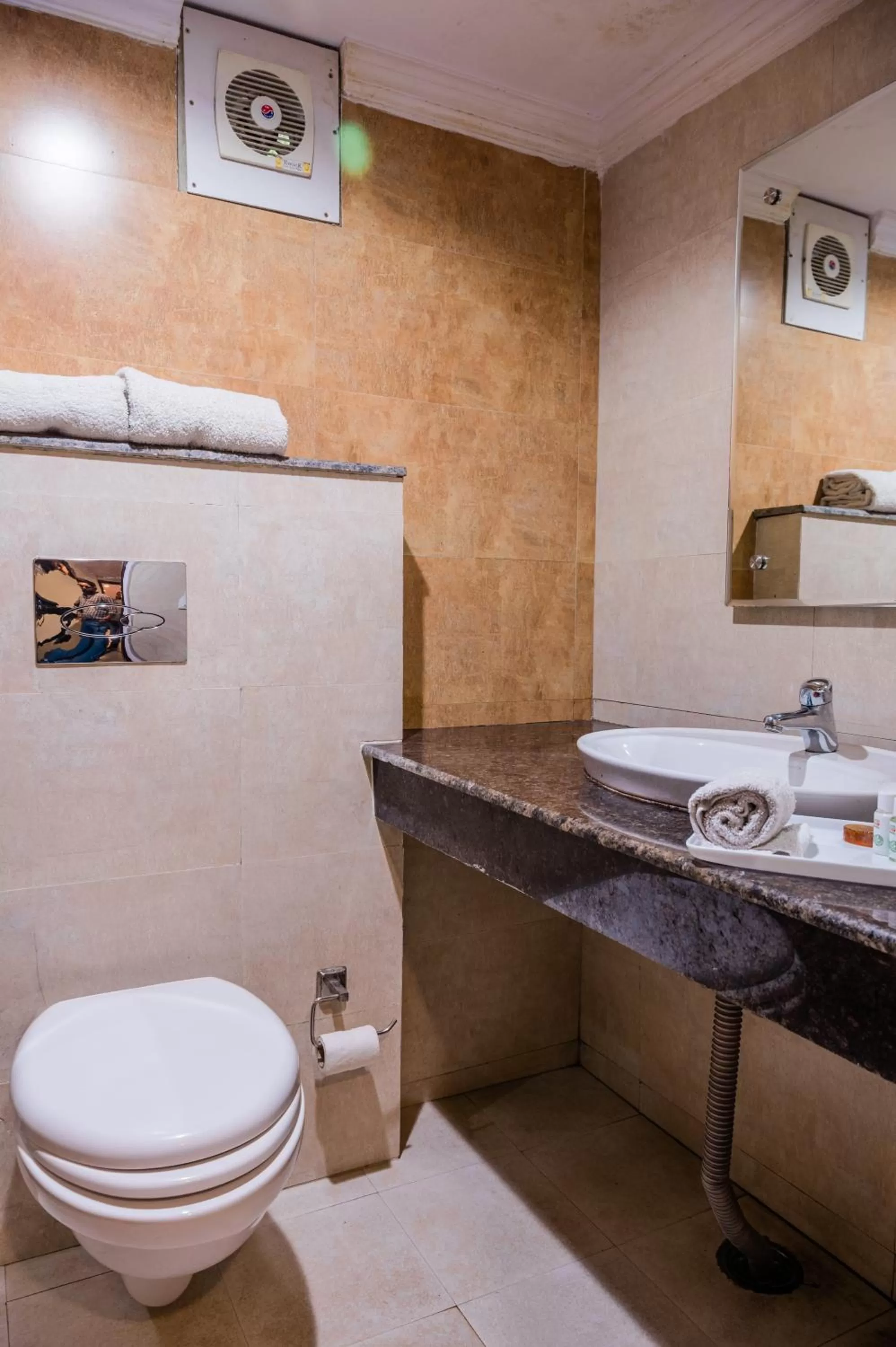 Toilet in Hotel Shiva Continental