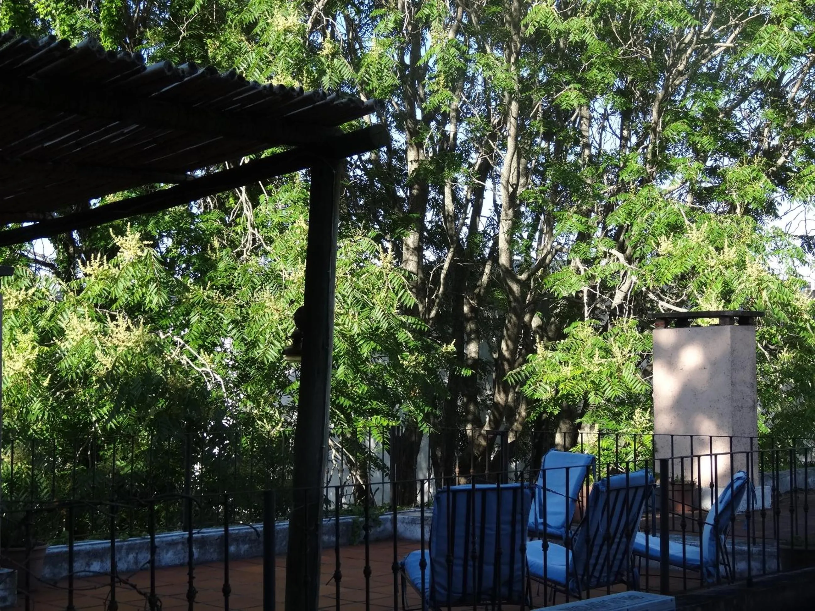 Patio in Posada de la Flor