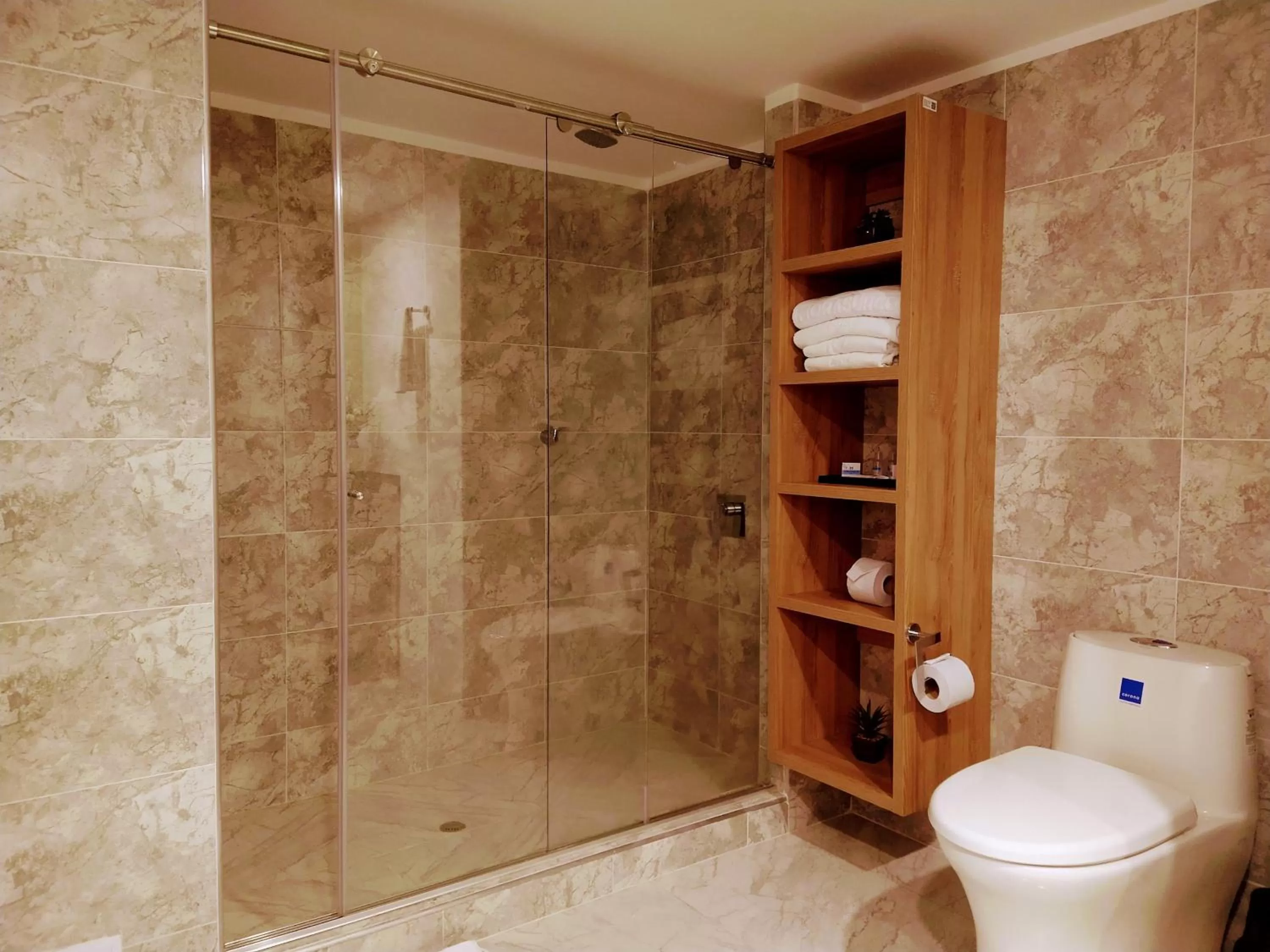 Shower, Bathroom in Hotel Morasurco