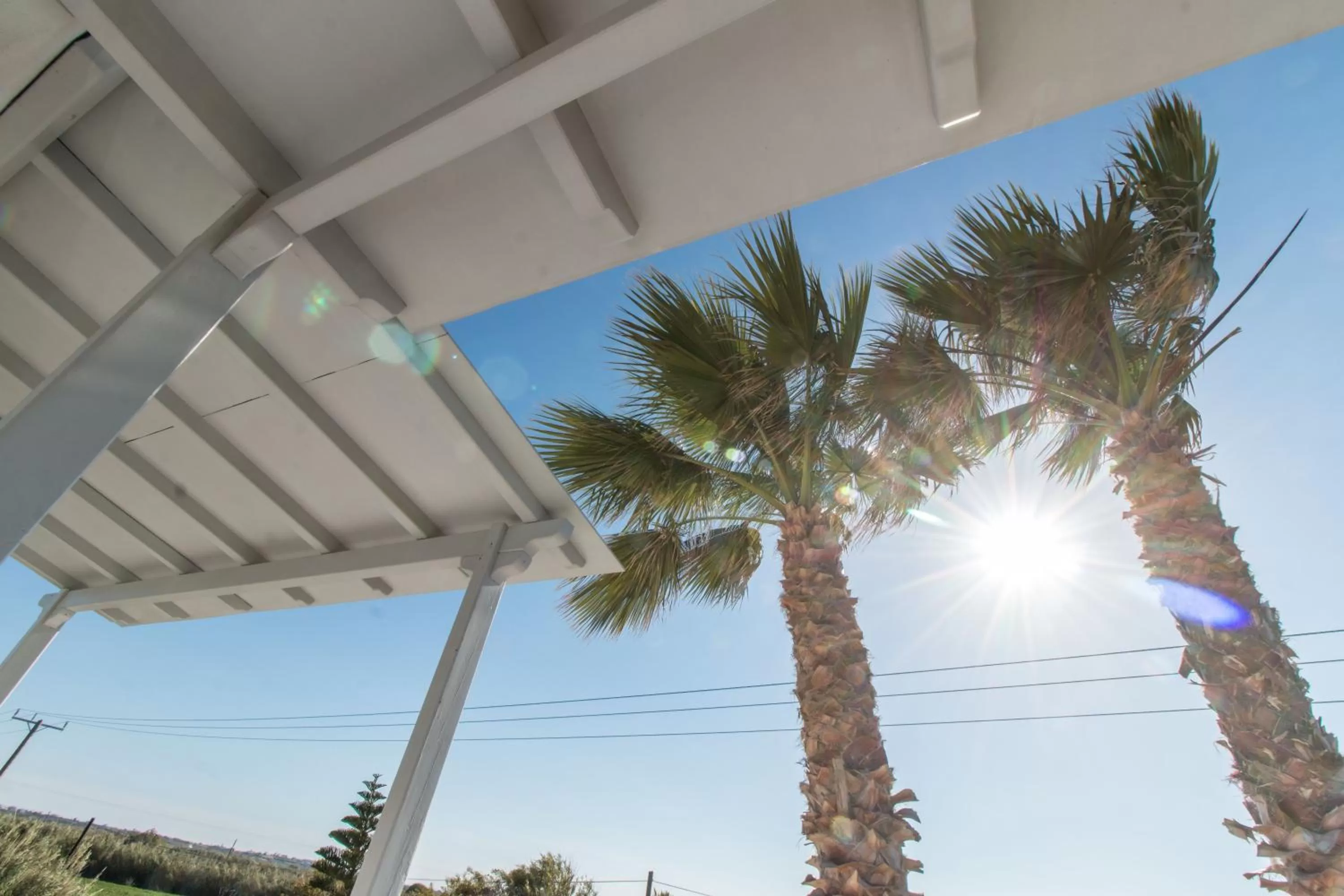 View (from property/room) in Ktima Bianco