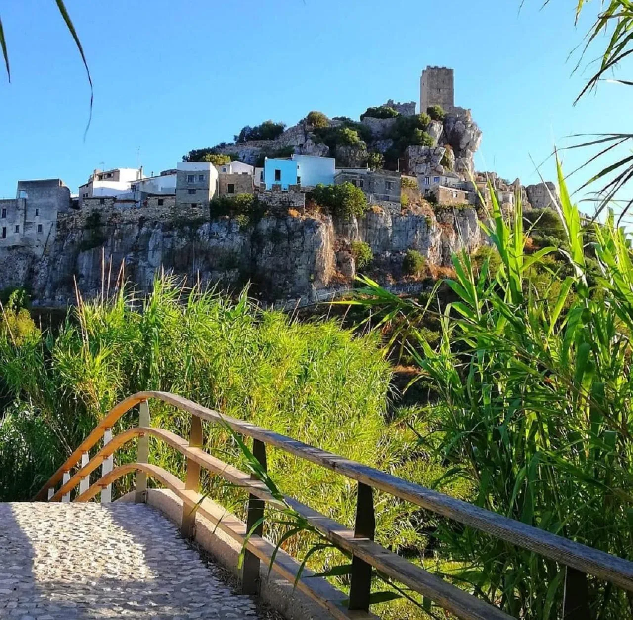 Natural landscape in Hotel Donatella